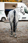 Horseware Staartbeschermer met tas