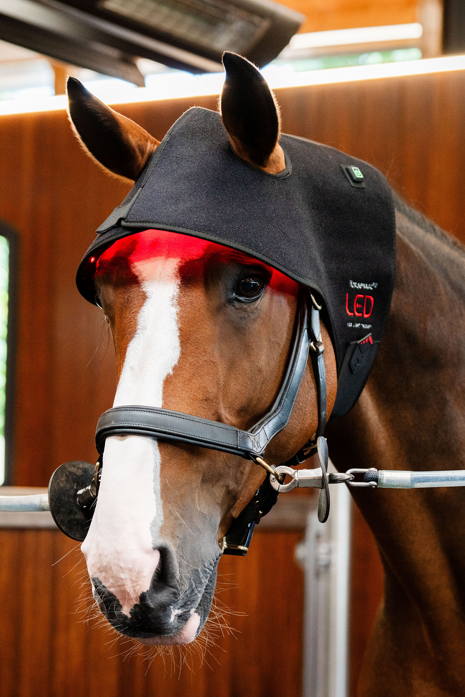 Horseware LED roodlichttherapie nekcap