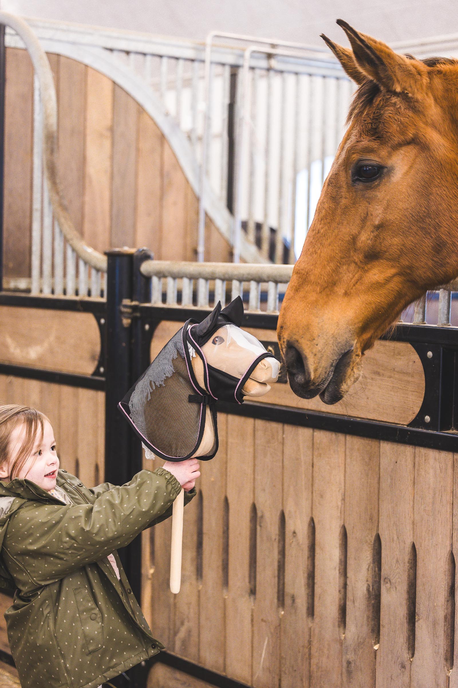 My Hobby Horse insecten vliegendeken