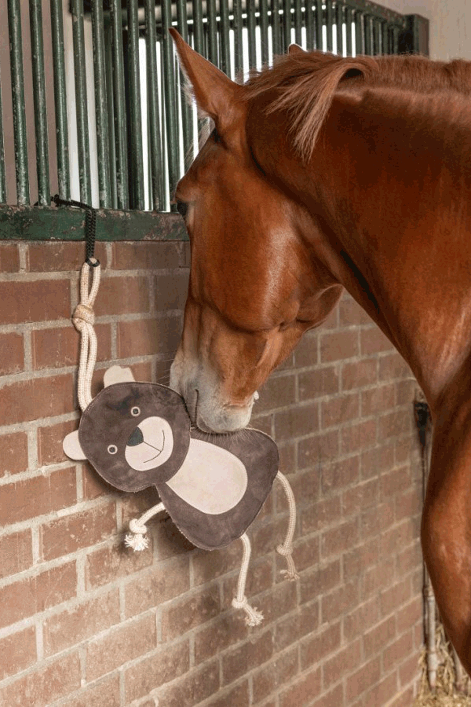 Kerbl Paardenspeelgoed Beer