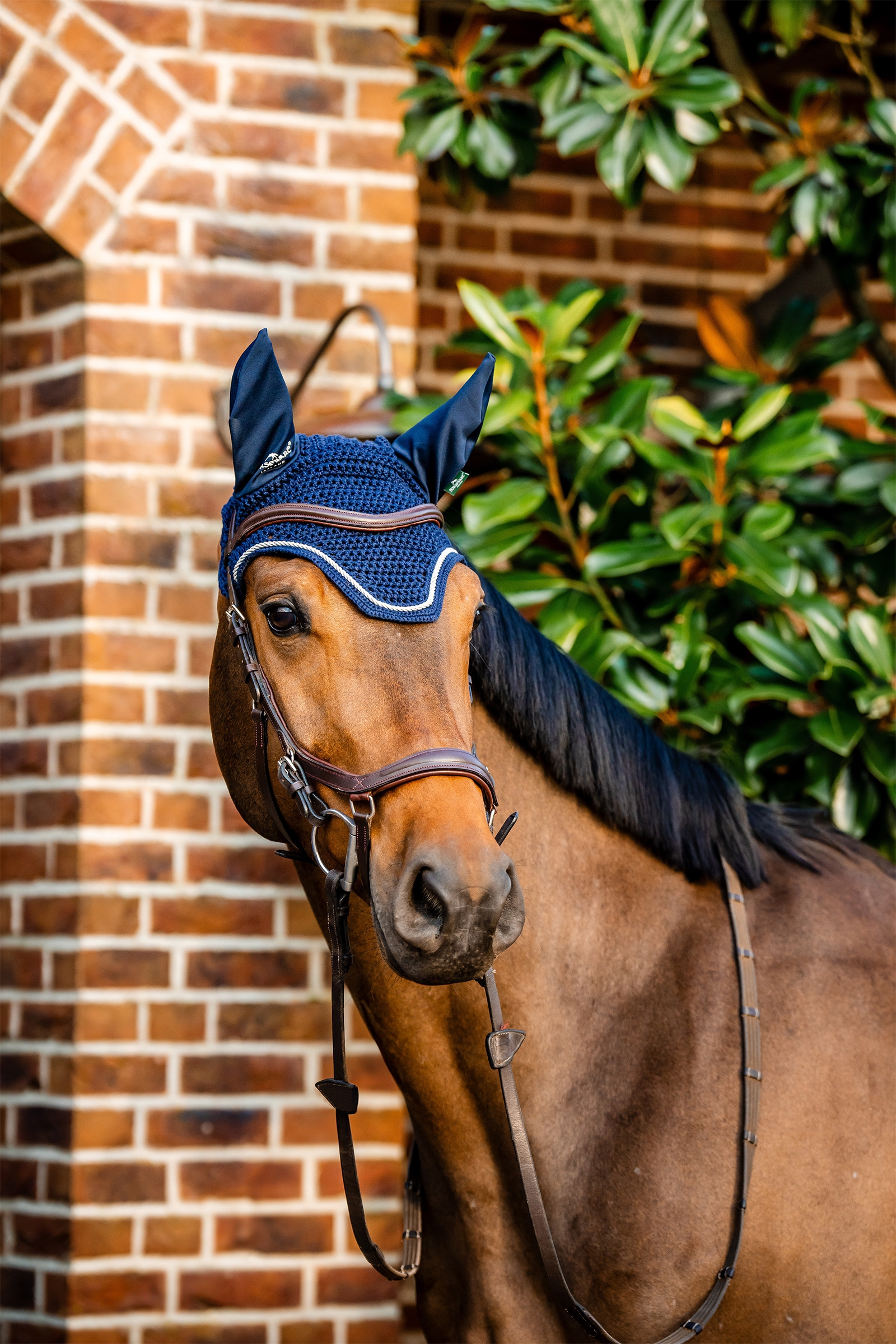 Horseware Signature vliegenkap