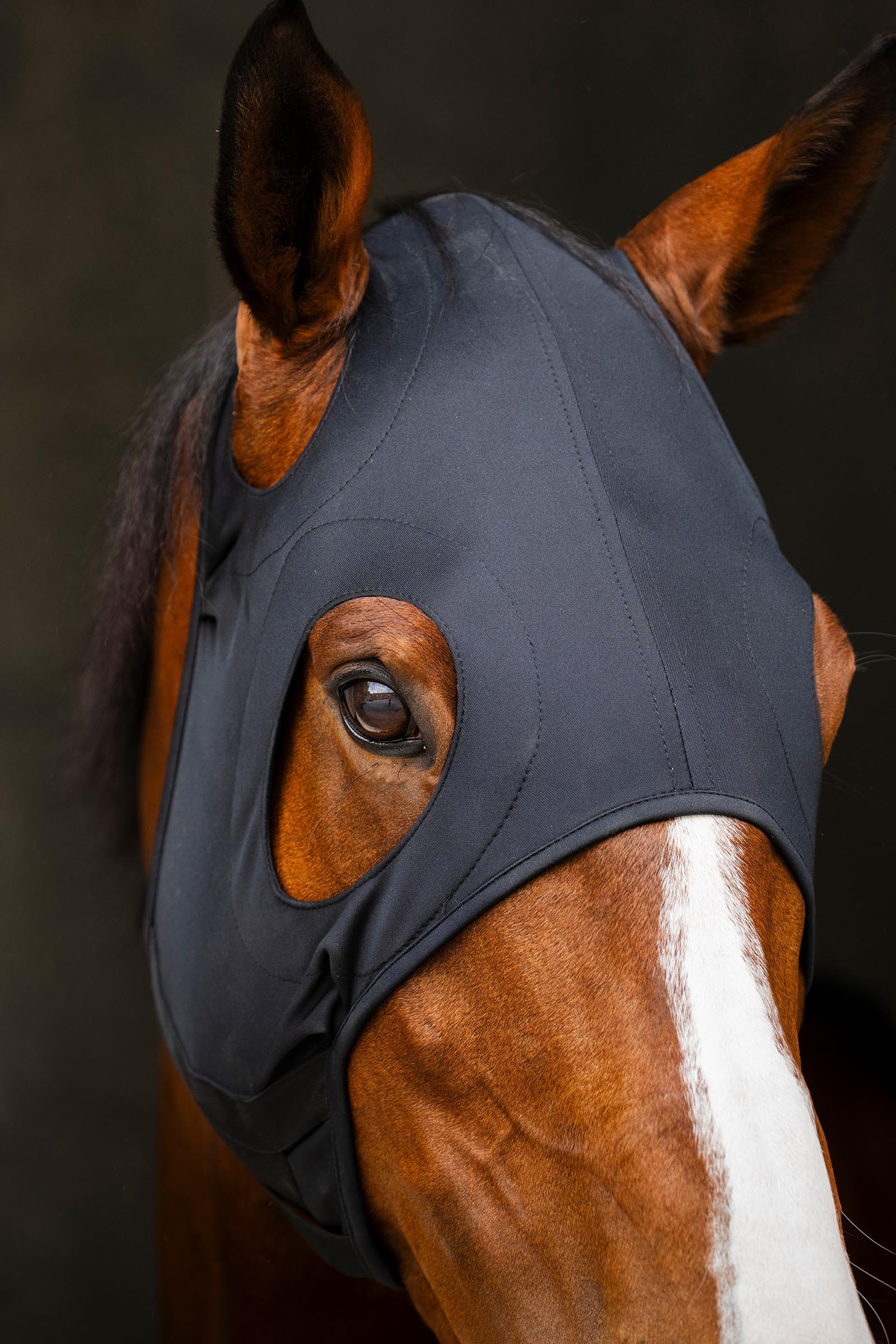 Horseware Ionic kalmerend gezichtsmasker
