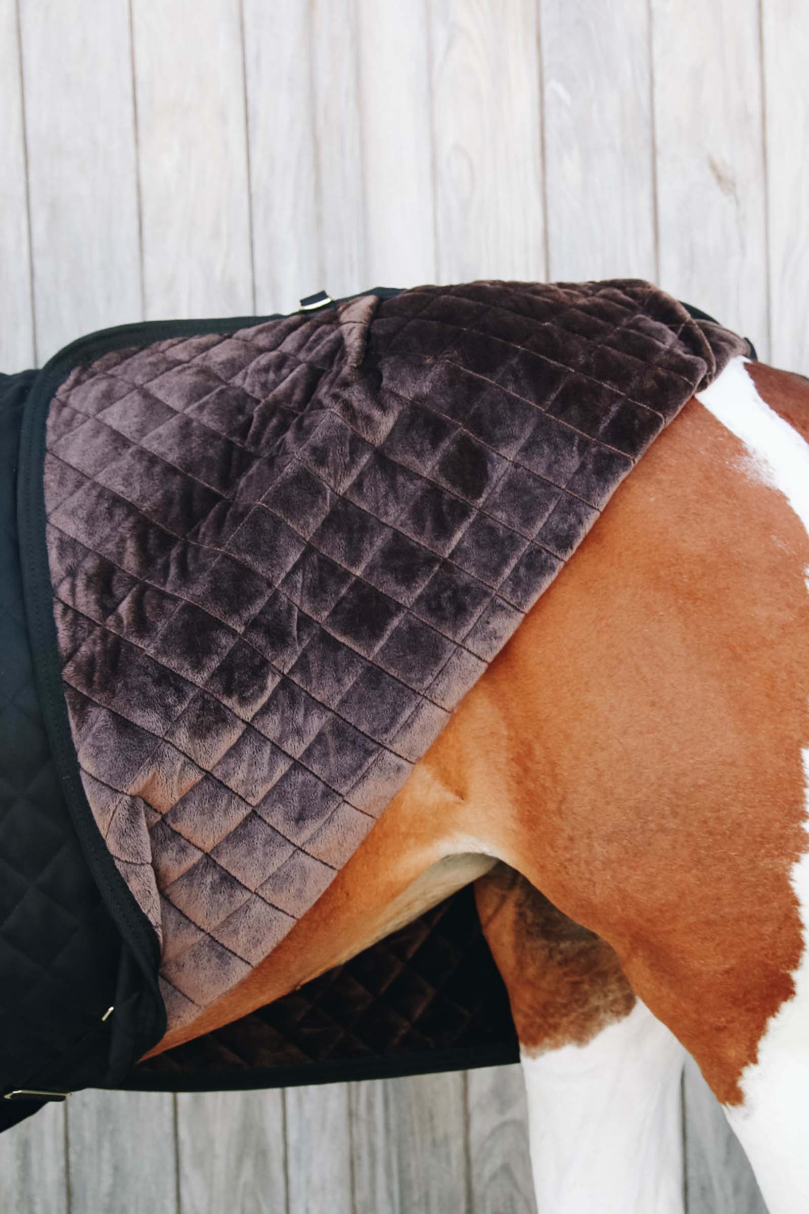 Kentucky Horsewear Showdeken 160g