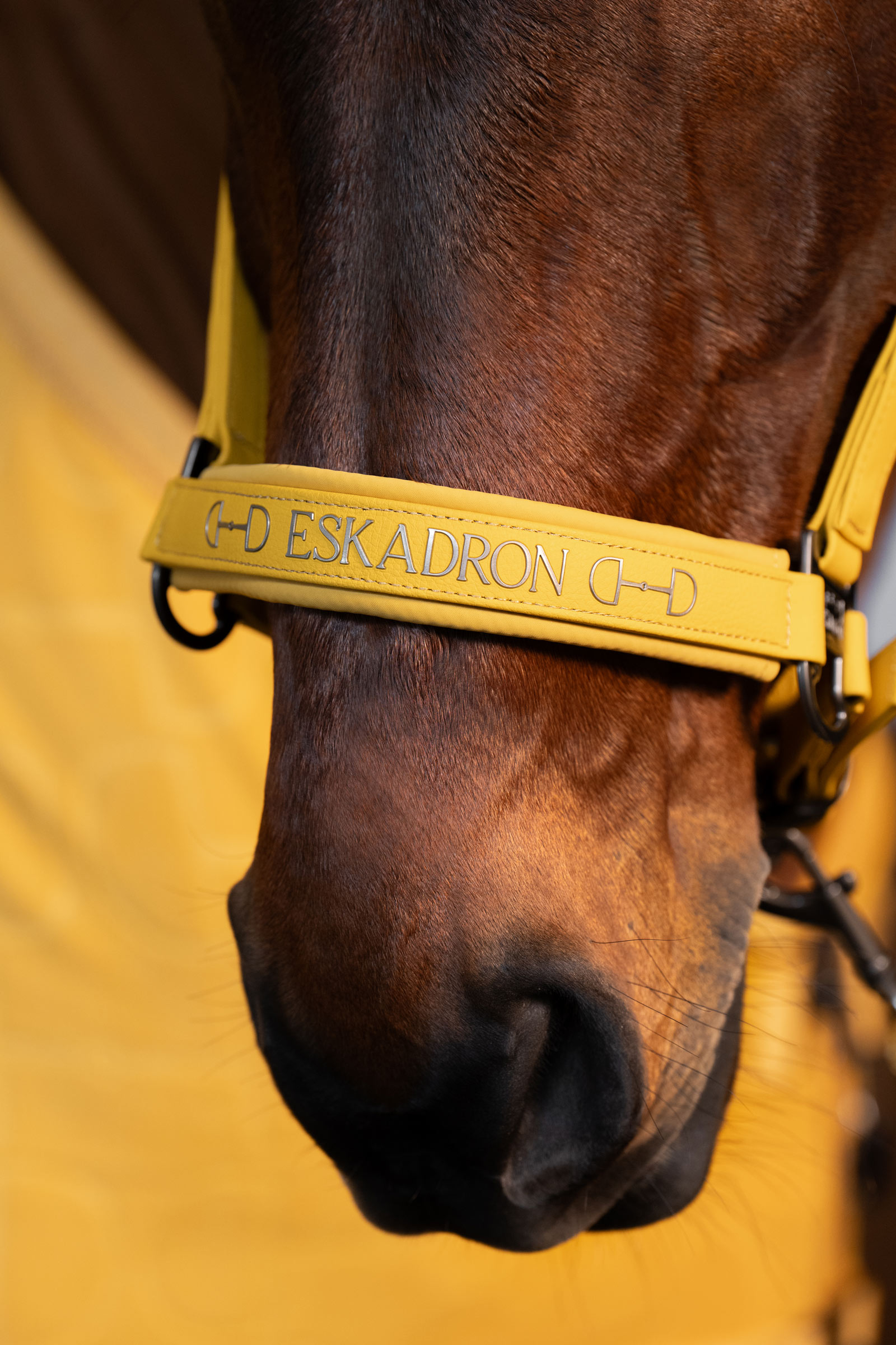 Eskadron Platinum 25 Dubbele pin halster van kunstleer