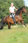 F.R.A. Freedom Riding Articles Free Bareback Pad, Full