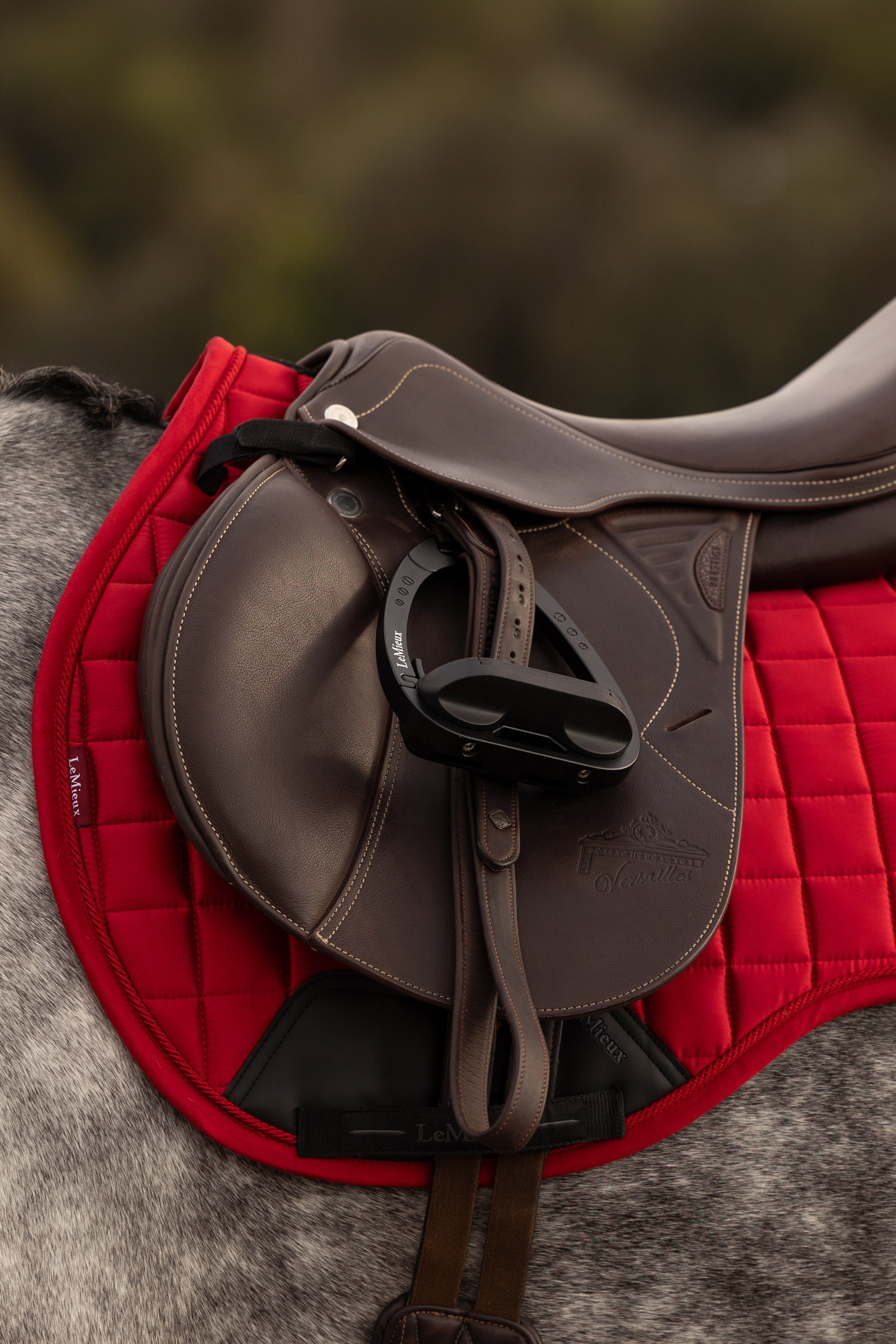 LeMieux Loire Classic veelzijdigheidsschabrak