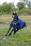 Bucas Freedom outdoordeken voor pony's met vaste volledige hals (150g / 150g)