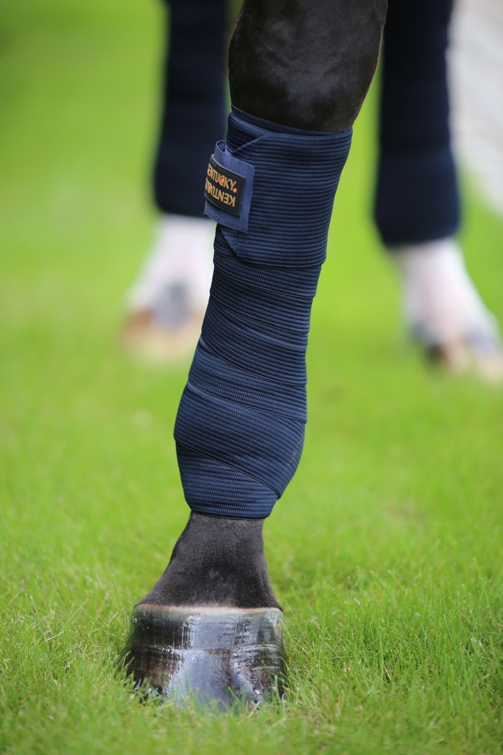 Kentucky Horsewear Elastische Bandage