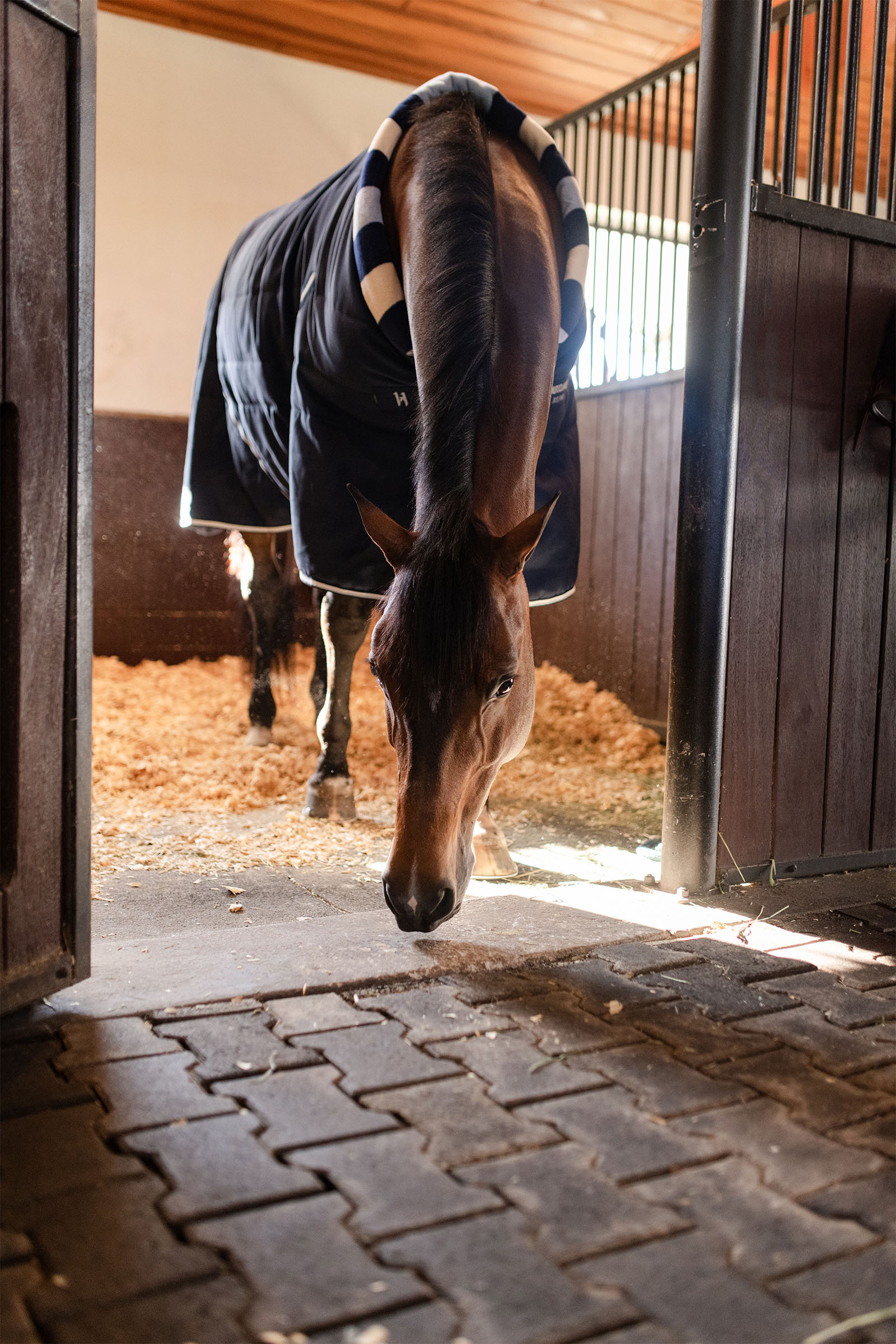 Horseware Newmarket Cosy Staldeken 100g