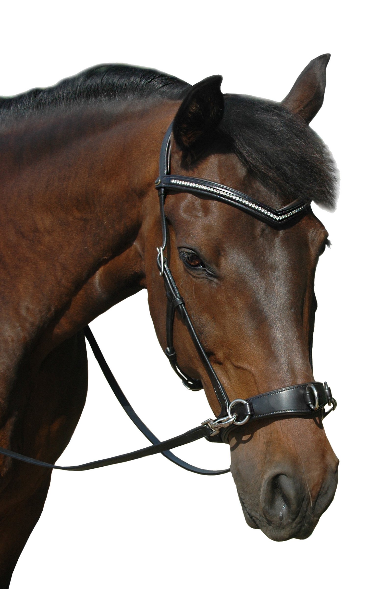 F.R.A. Freedom Riding Articles Wendy B Kaptoom, Bitloos Hoofdstel, Leren teugels met clip