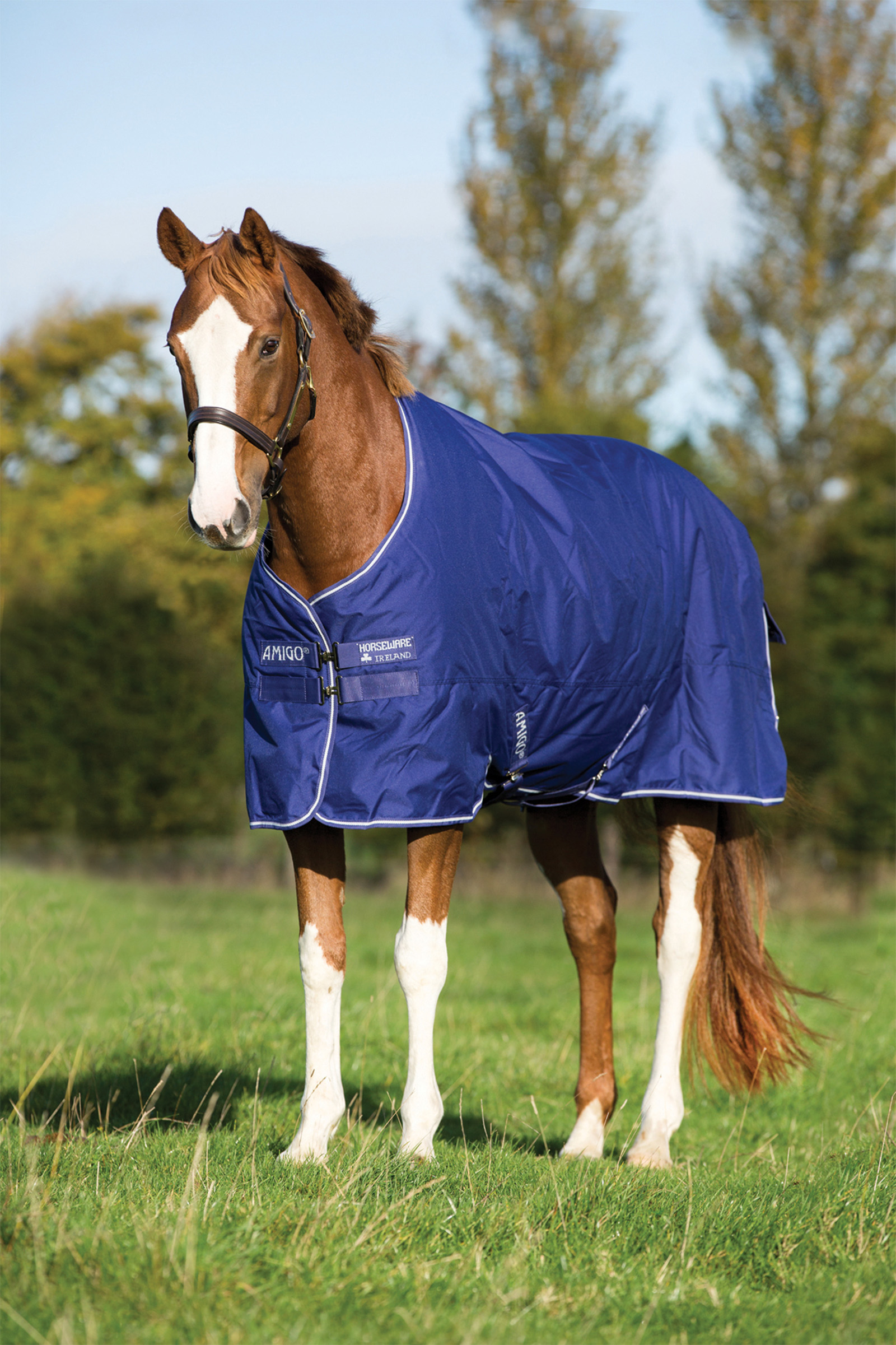 Horseware Amigo Hero 900 Plus Medium buitendeken, 200g