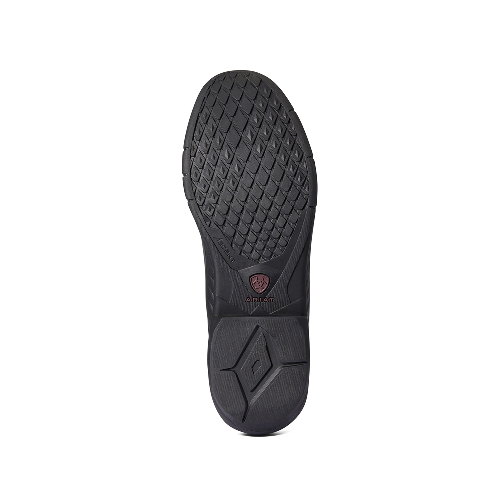 Ariat Ascent H2O Jodhpurs, heren