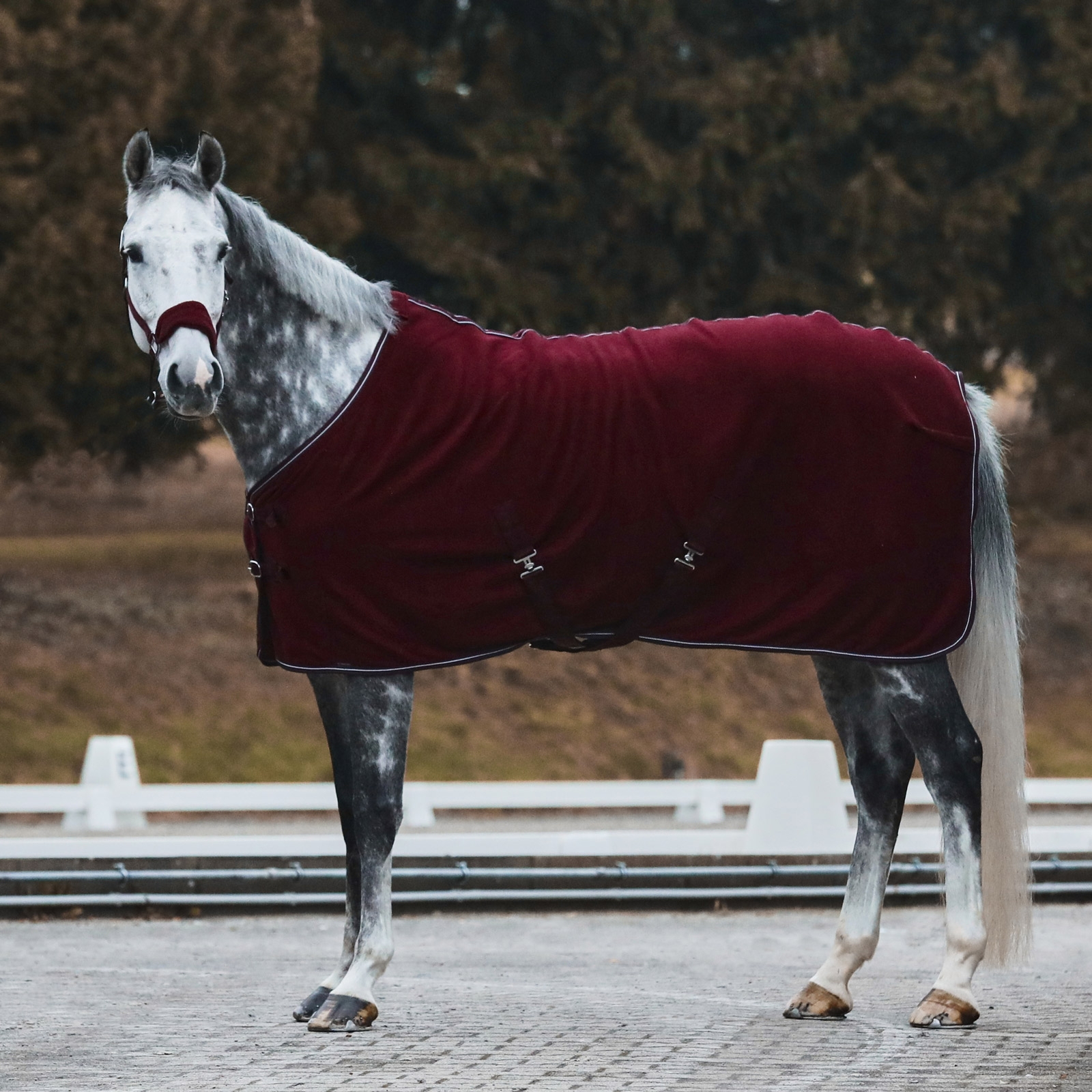 Horze Kiel Halster met Fleece
