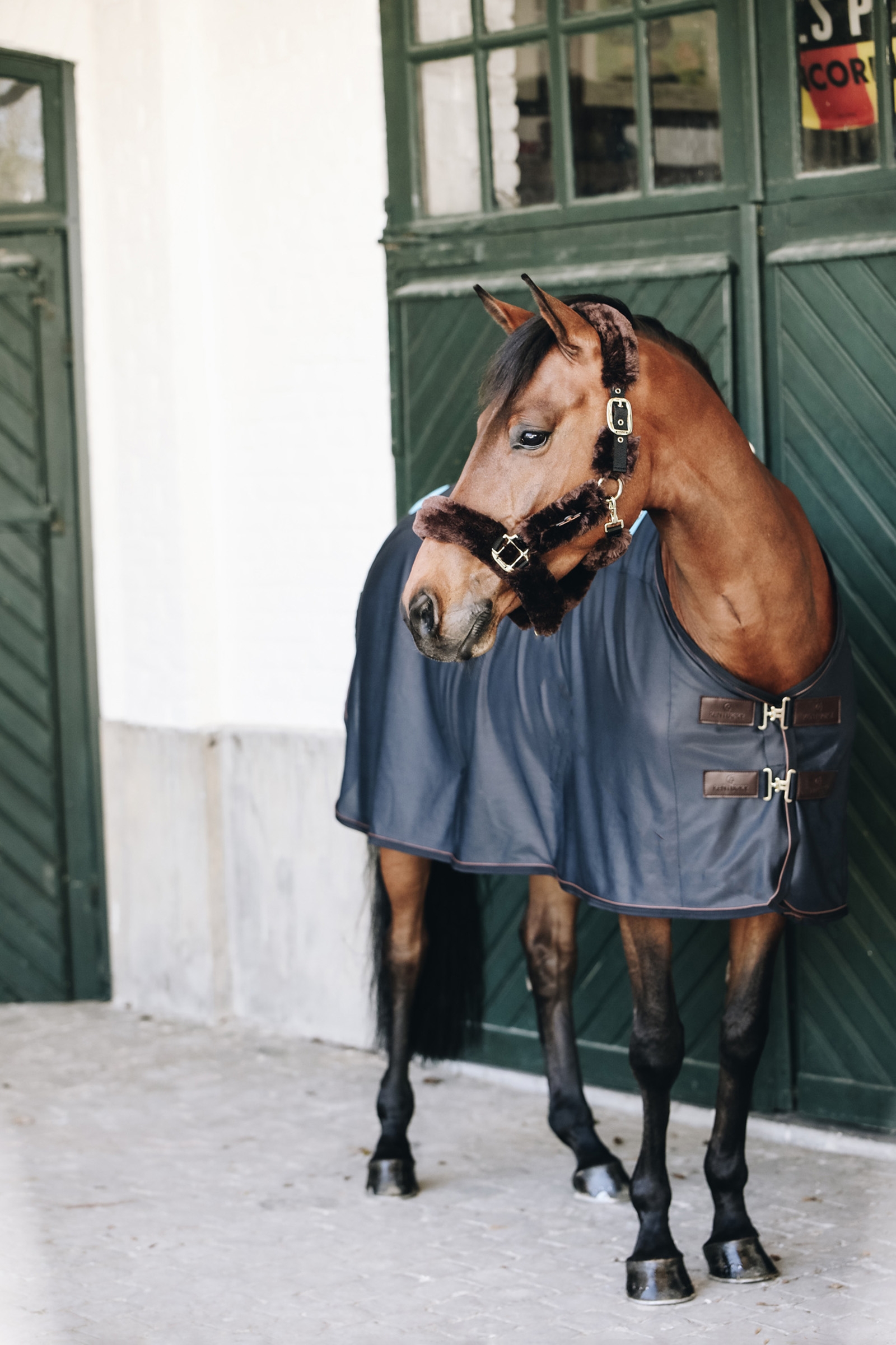 Kentucky Horsewear Magnetic Rug Recuptex