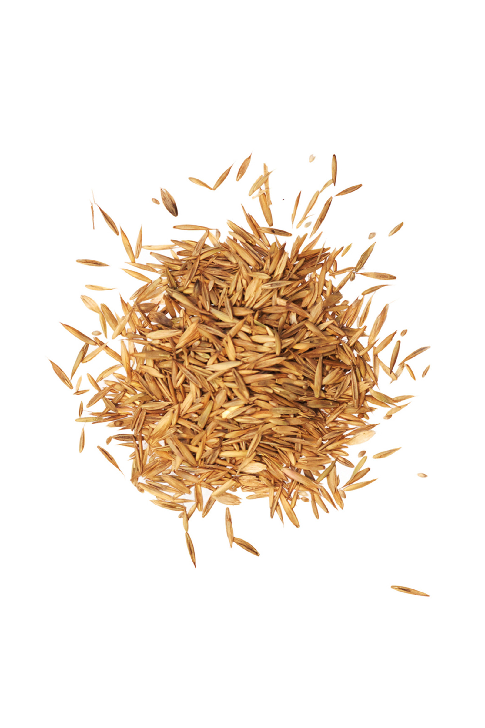 Agrobs Pre Alpin Seeds, 10 kg