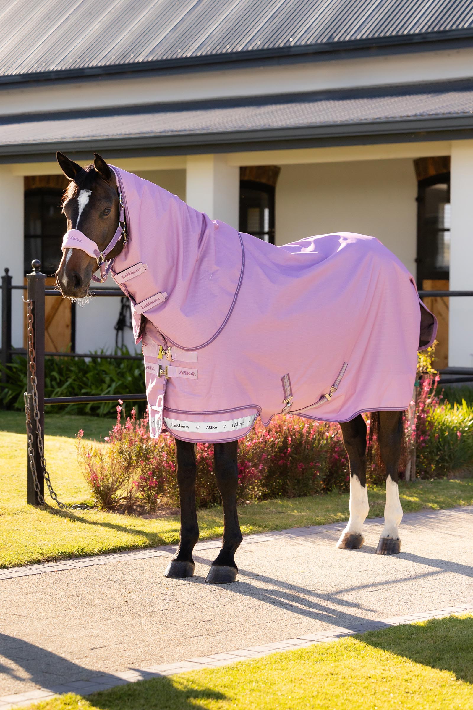 Fondant LeMieux Arika ripstop regendeken met afneembare hals 50 g