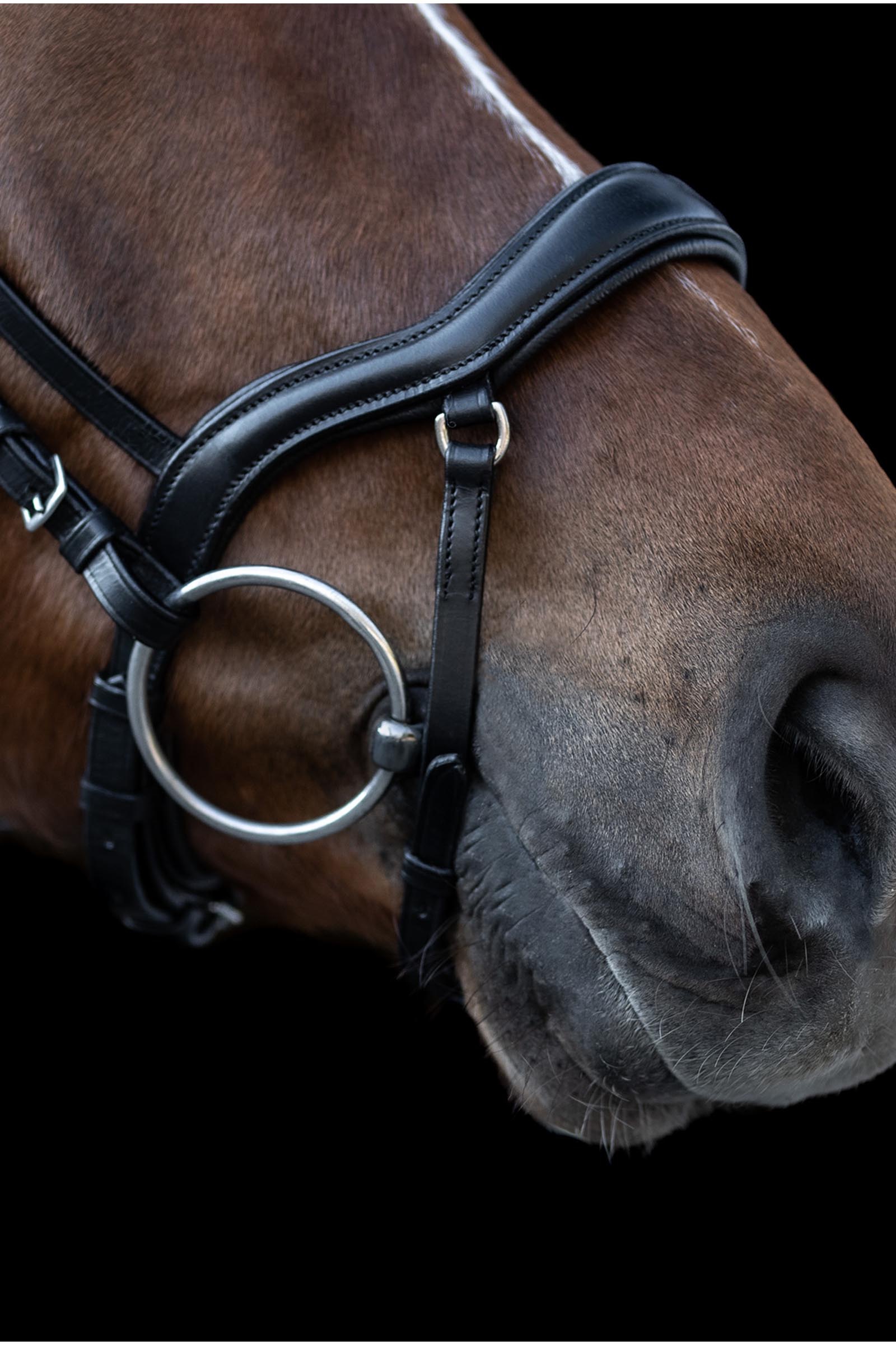 Waldhausen X-Line New Shape II Hoofdstel