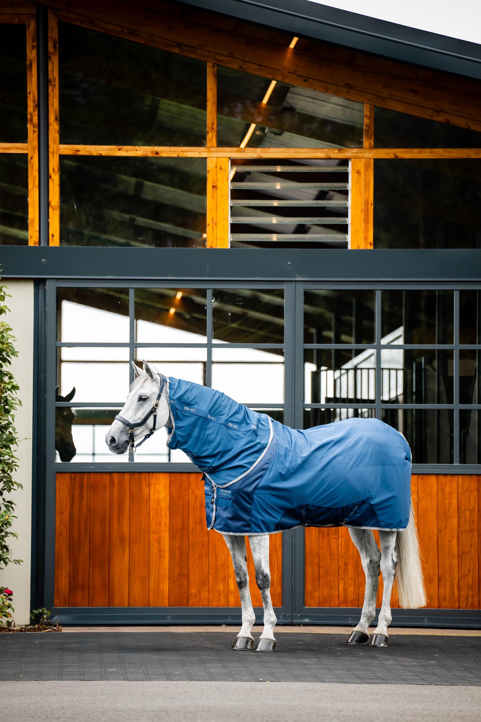 Horseware Ionic Therapy Halsdeel voor Mesh Cooler deken