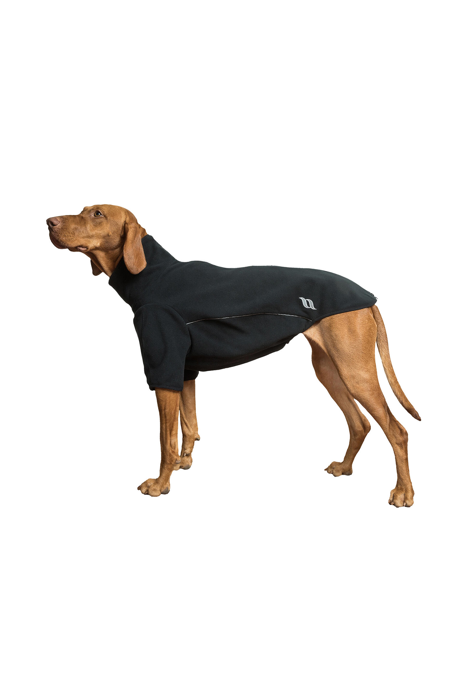 Back on Track Cassie All-Weather Jumper, 25-30 cm
