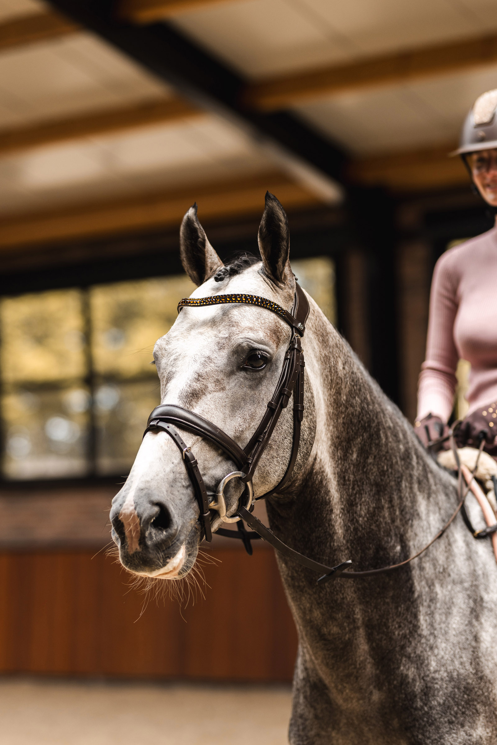 Horze St. Moritz frontriem