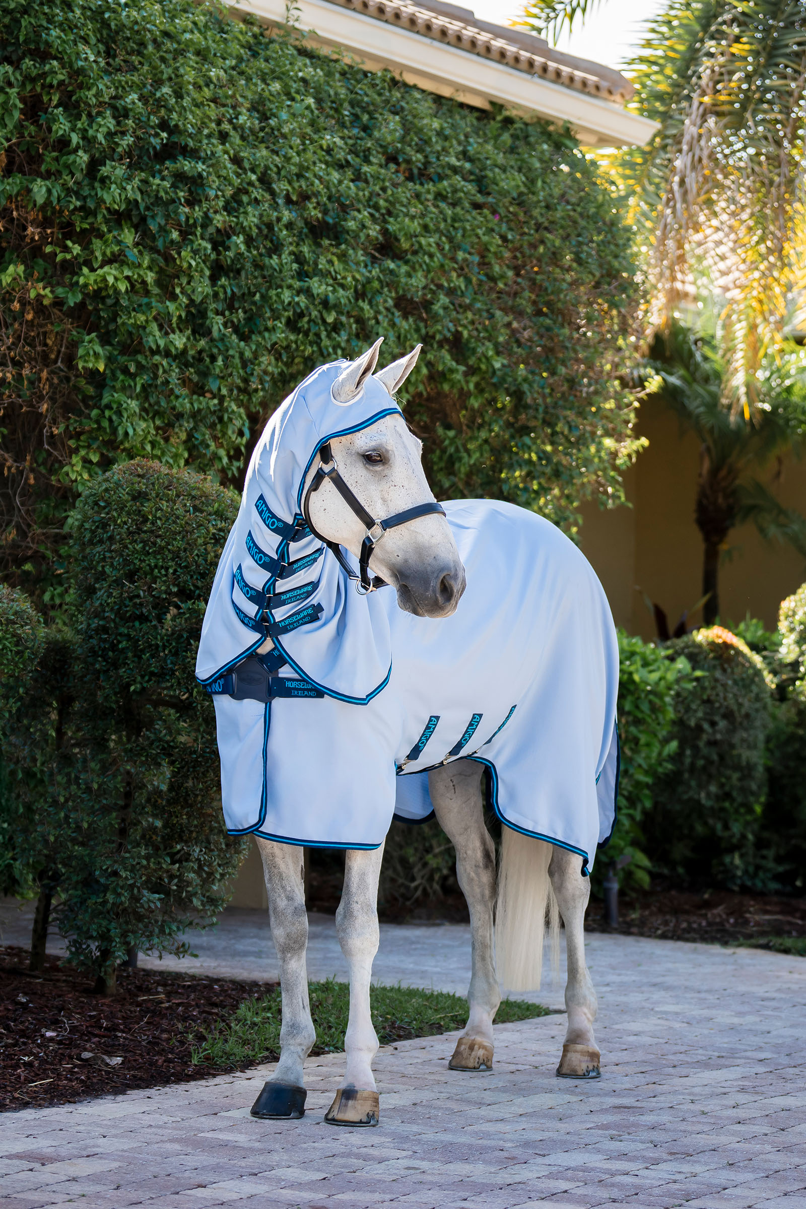 Horseware Amigo Ripstop Vliegendeken