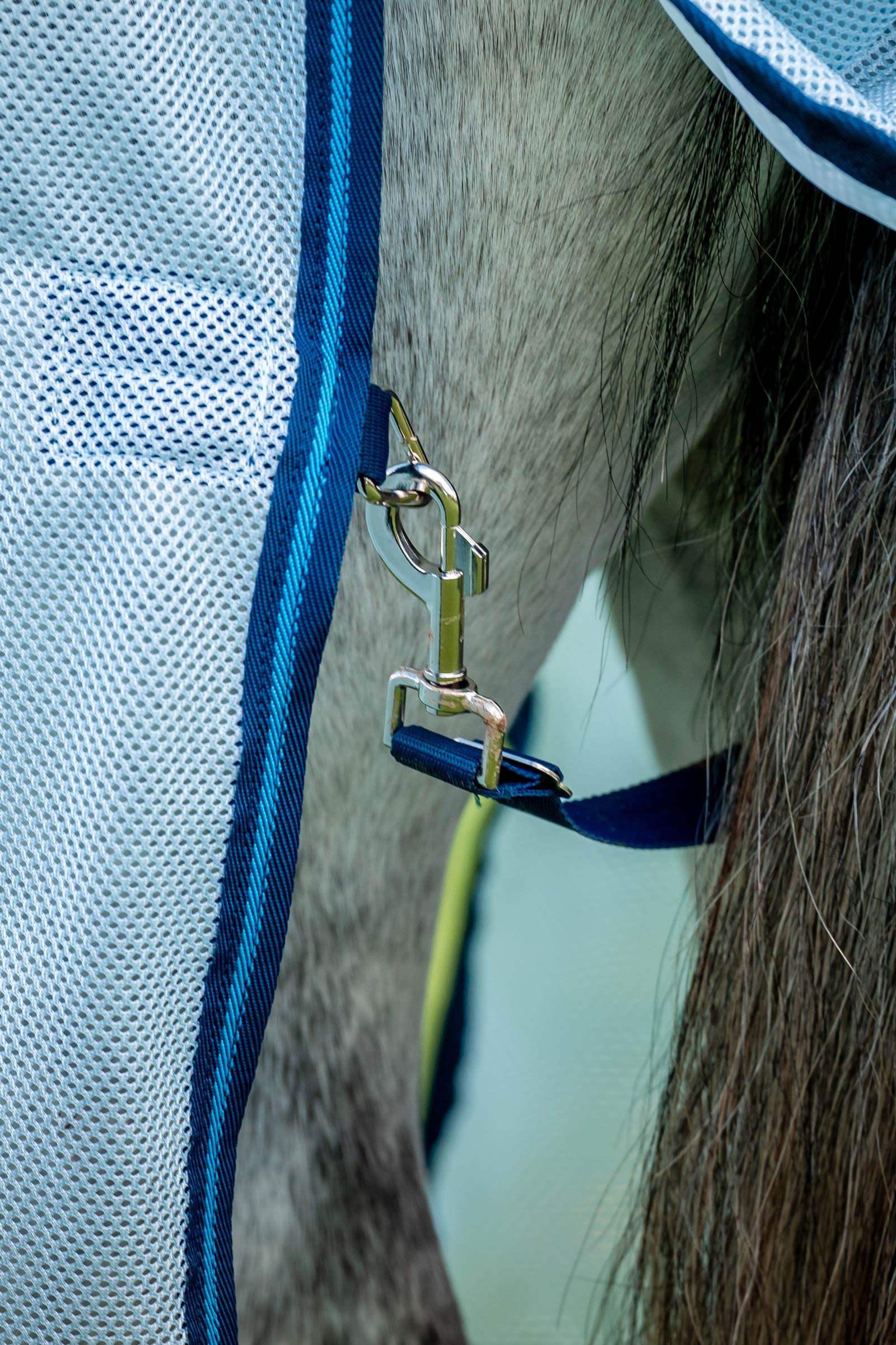 Horseware Amigo Bug Buster vliegendeken met afneembaar halsteil