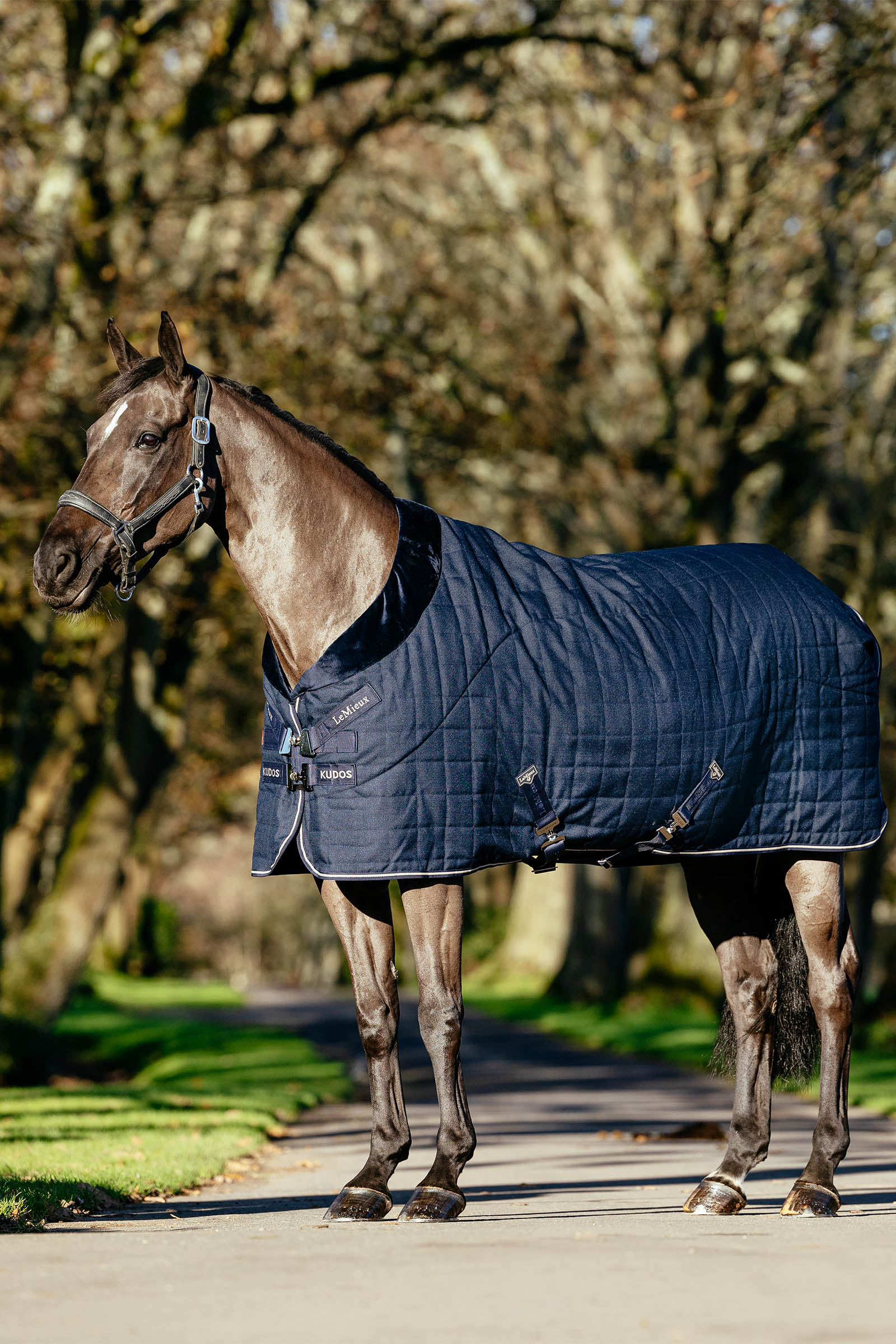 LeMieux Kudos Luxe gevoerde staldeken, 100 g