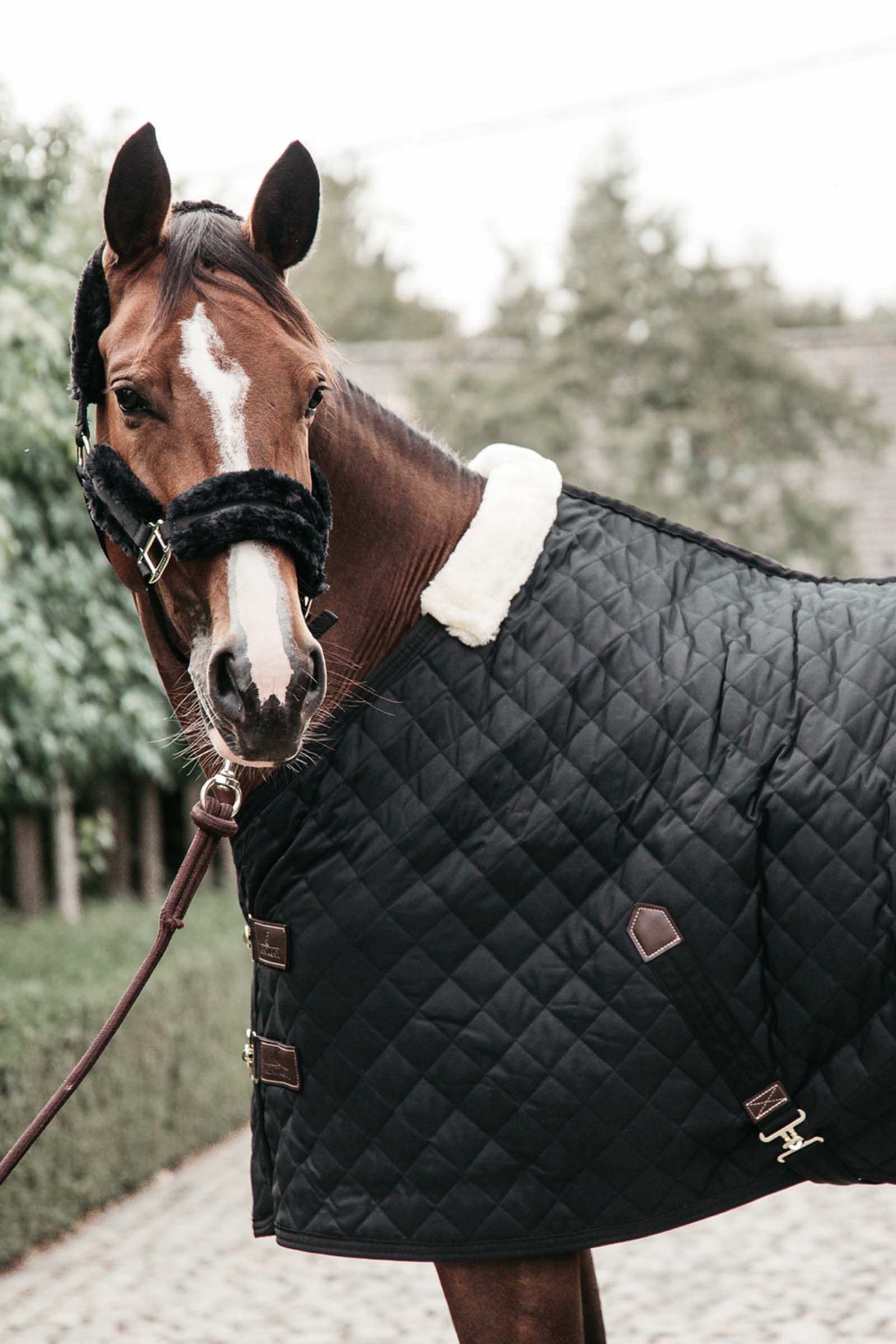 Kentucky Horsewear Staldeken 400g