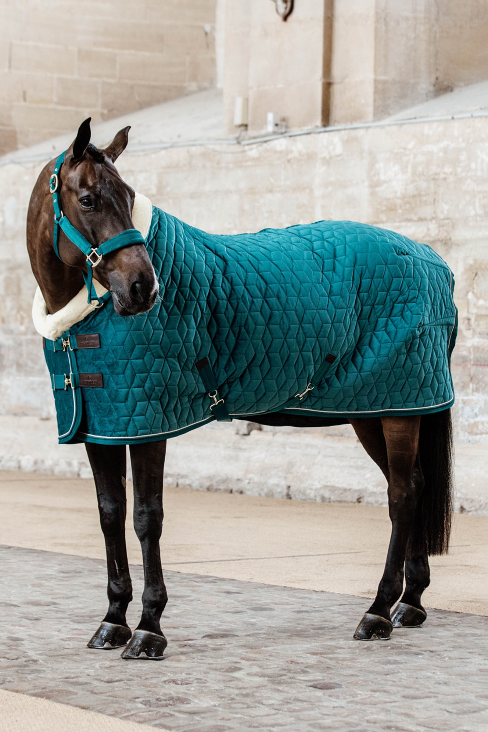 Kentucky Horsewear Pony Showdeken Velvet, 160g