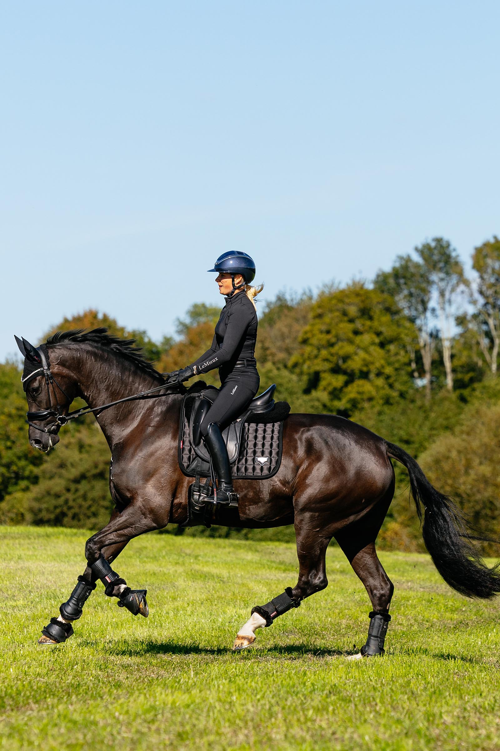 LeMieux Loire dressuurschabrak