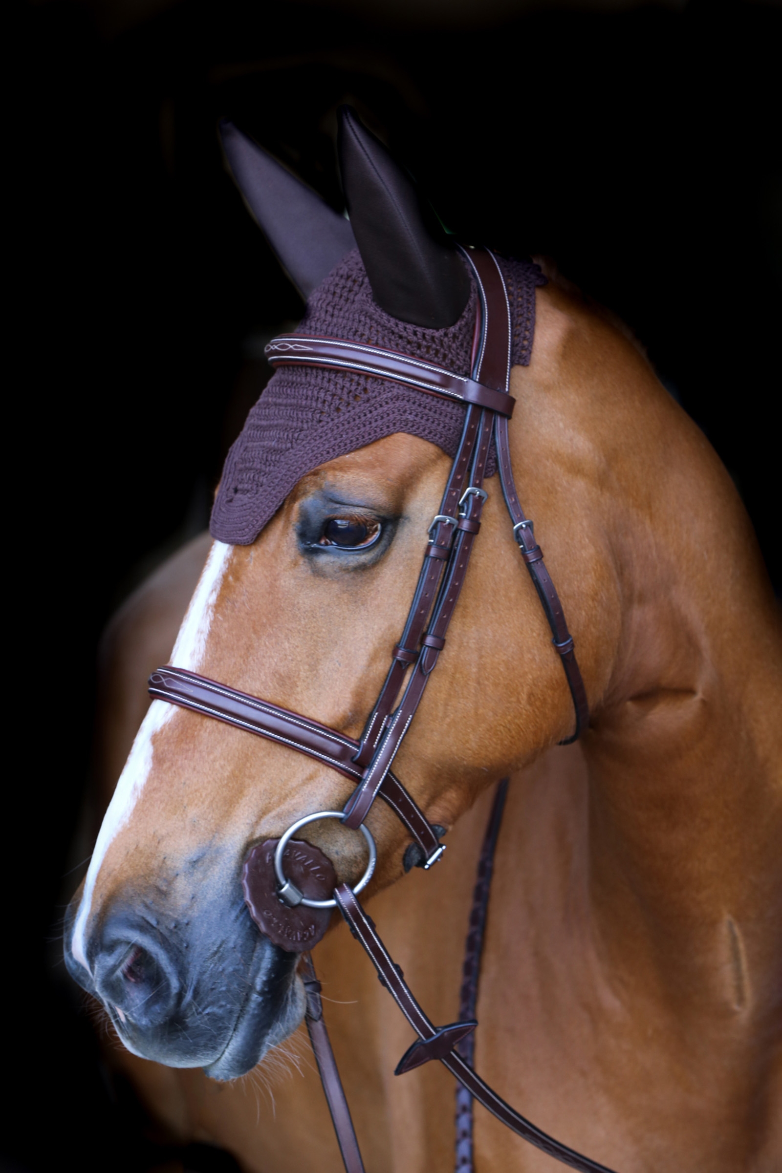 Brown Kentucky Horsewear Wellington vliegenoornetje, geluidsdempend  