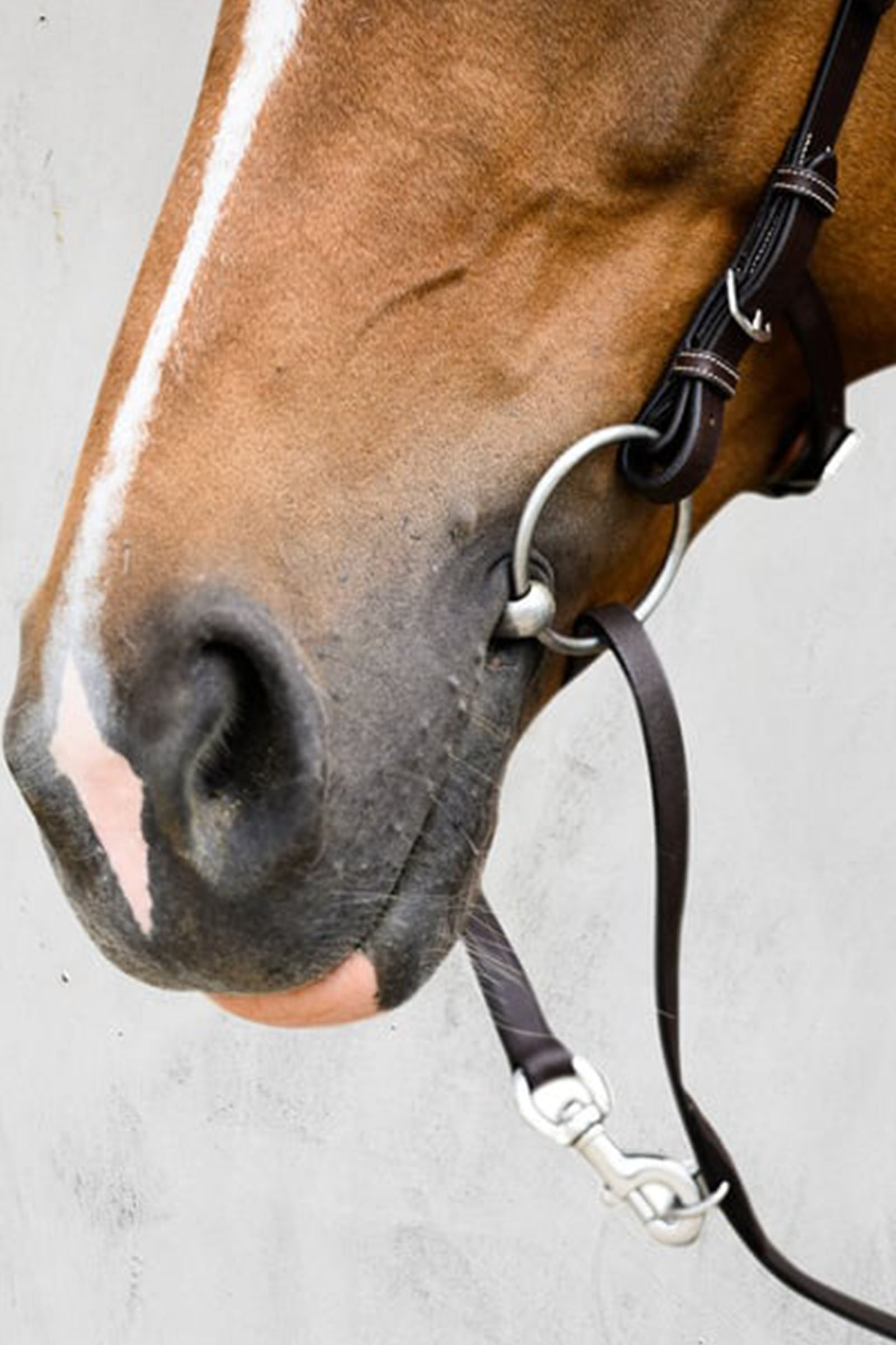 PS of Sweden Helsinki Hoofdstel