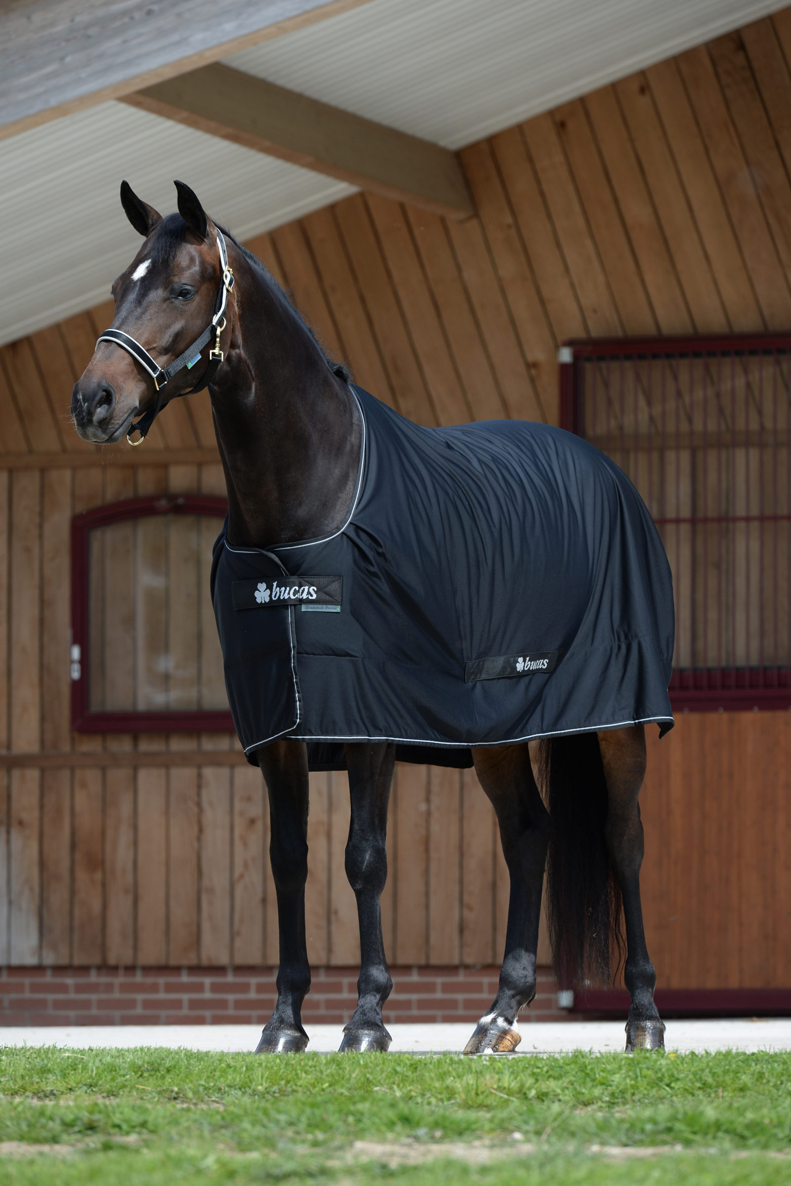 Bucas Shamrock Power deken