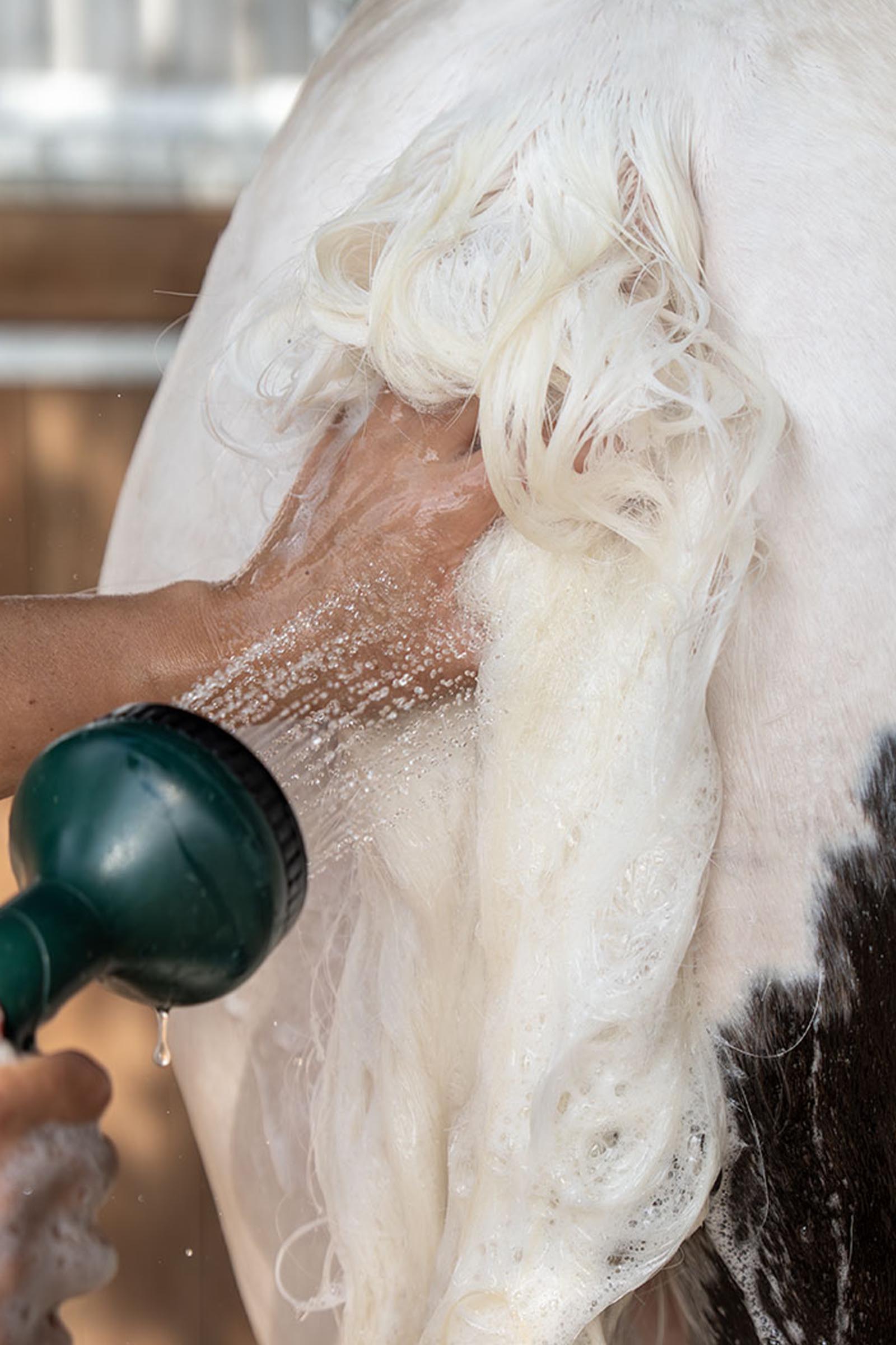 Bense & Eicke Lilla Livet Berry Bubble Bath verzorgingsshampoo, 500 ml