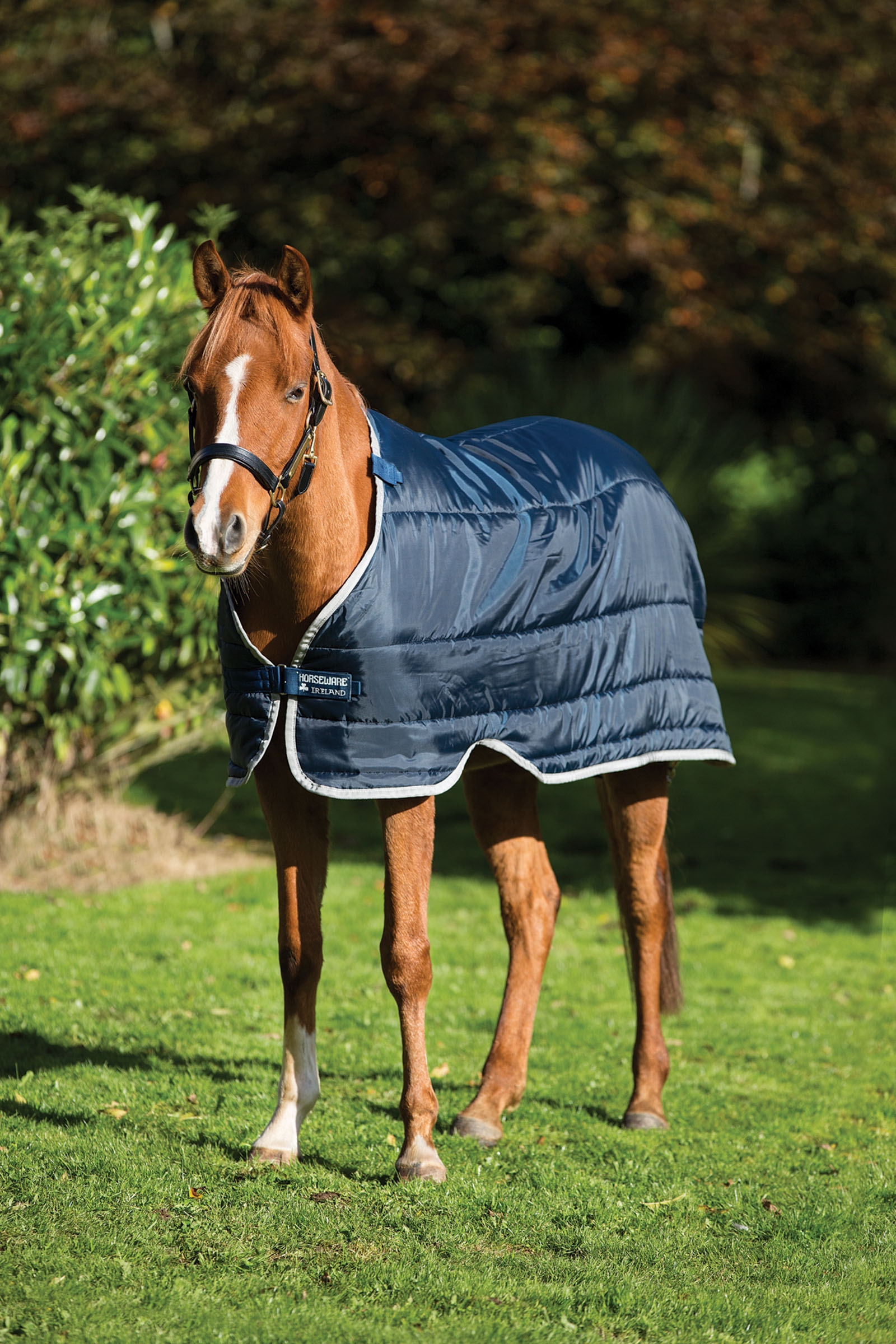 Horseware HW Pony Liner 100 grams