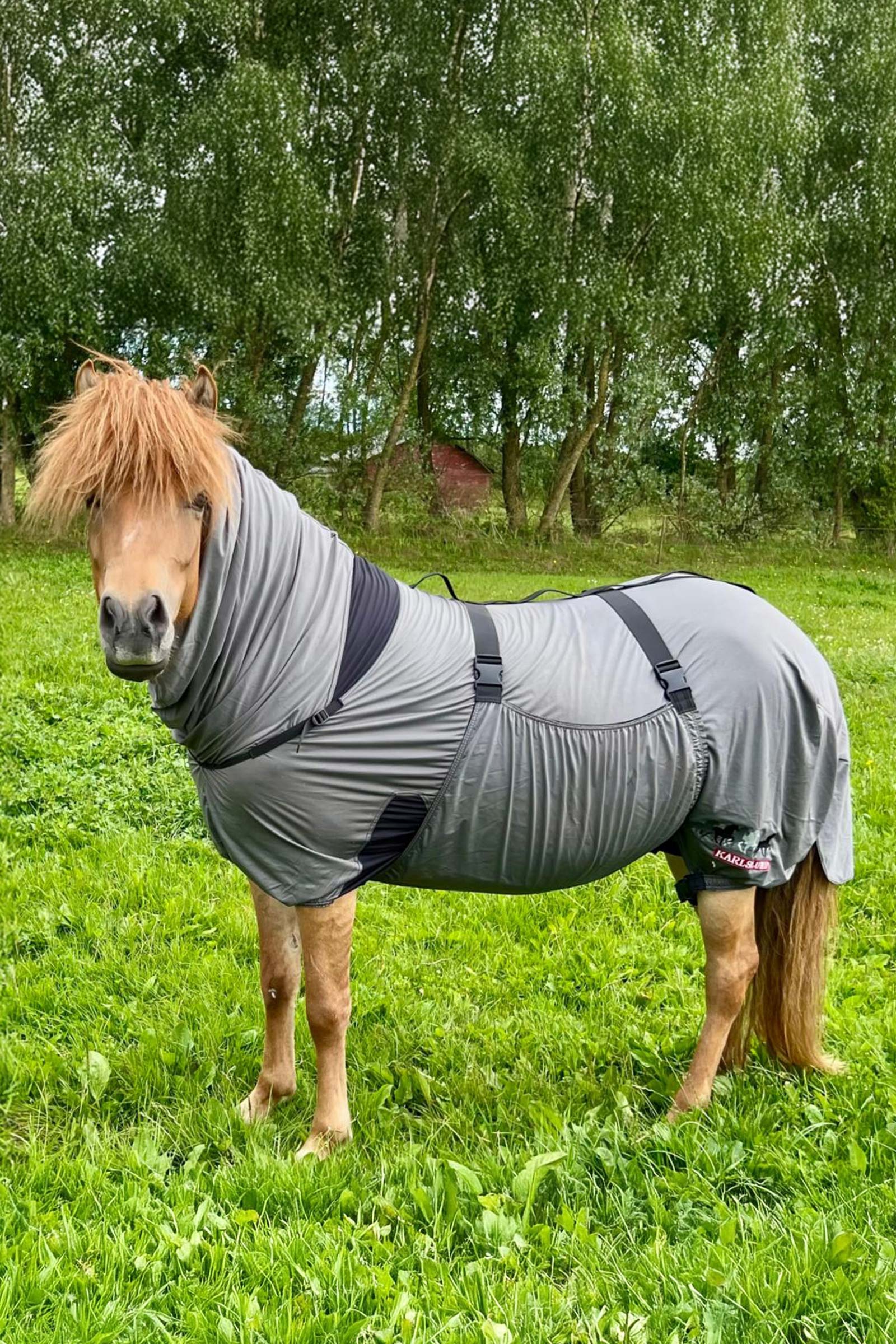 Karlslund Matti eczeemdeken met vaste hals, 0 g  