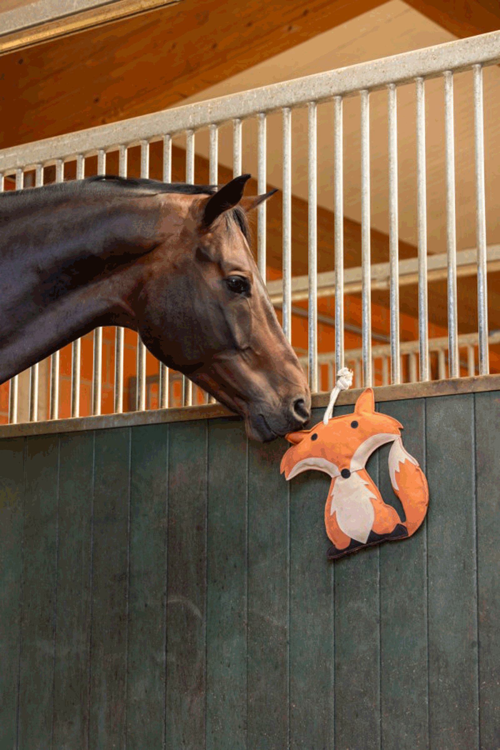 Kerbl Paardenspeeltje KniStar Fox