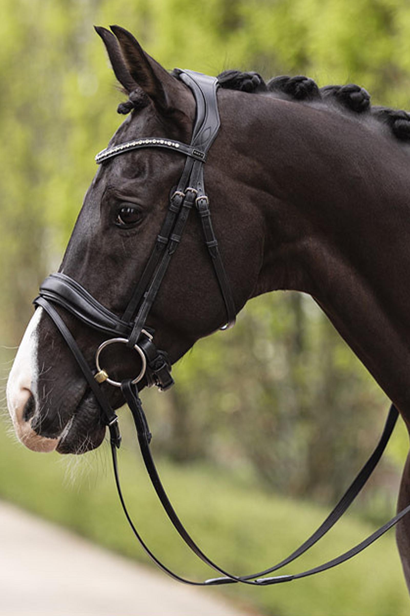 ANKY Comfort Line Hoofdstel met Teruggesneden Kopstuk