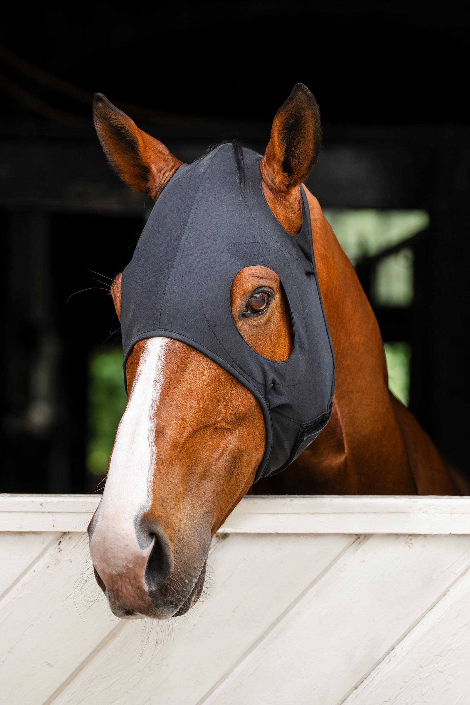 Horseware Ionic kalmerend gezichtsmasker