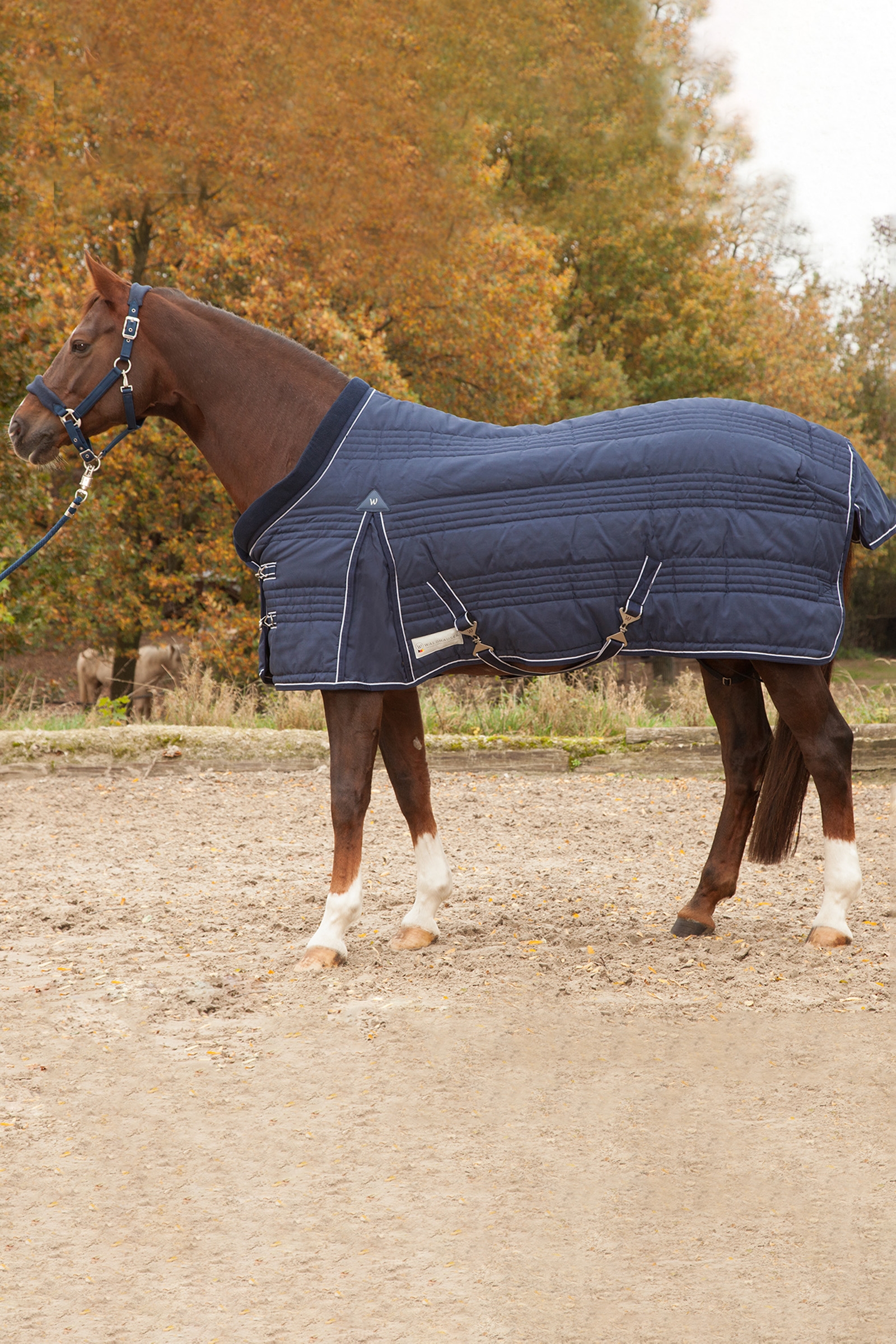 Waldhausen Stable Rug Comfort Line 200g
