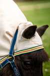 Horseware Amigo Ripstop Hoody Petite, vliegendeken