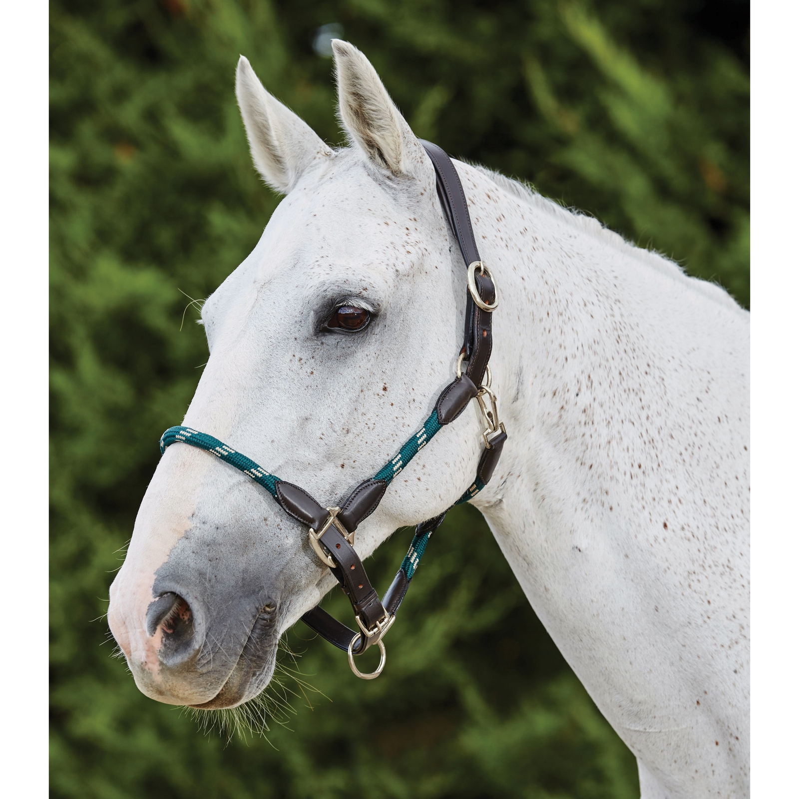 Hunter Green/Brown Kincade Lederen Touwhalster