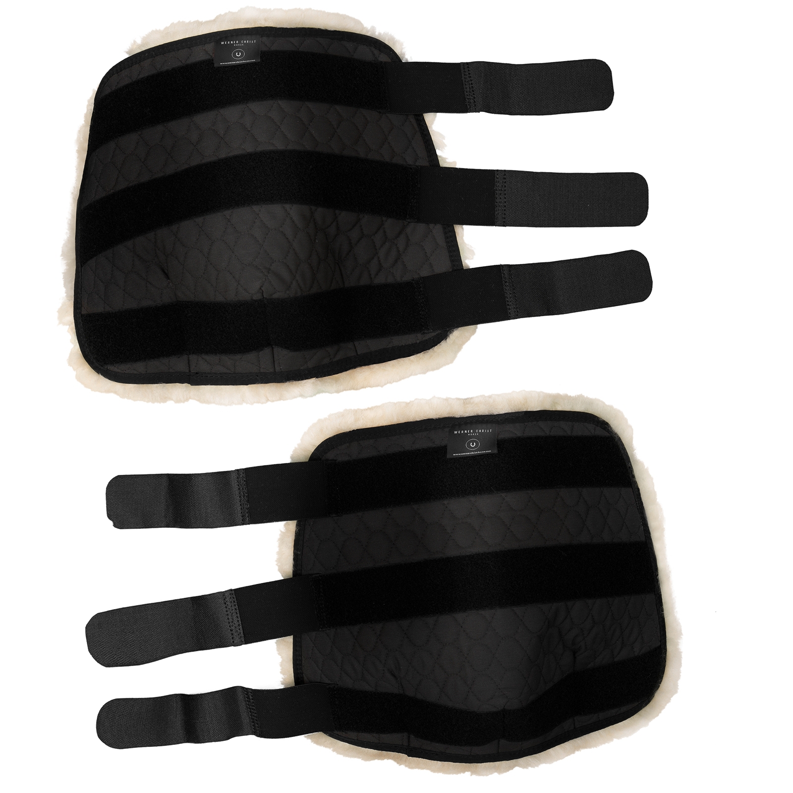 Christ Beenbeschermers, voorbeen