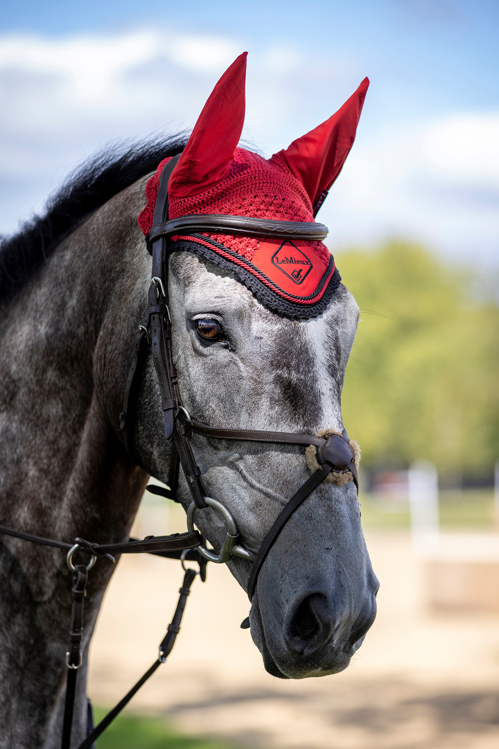LeMieux Classic Vliegennetje