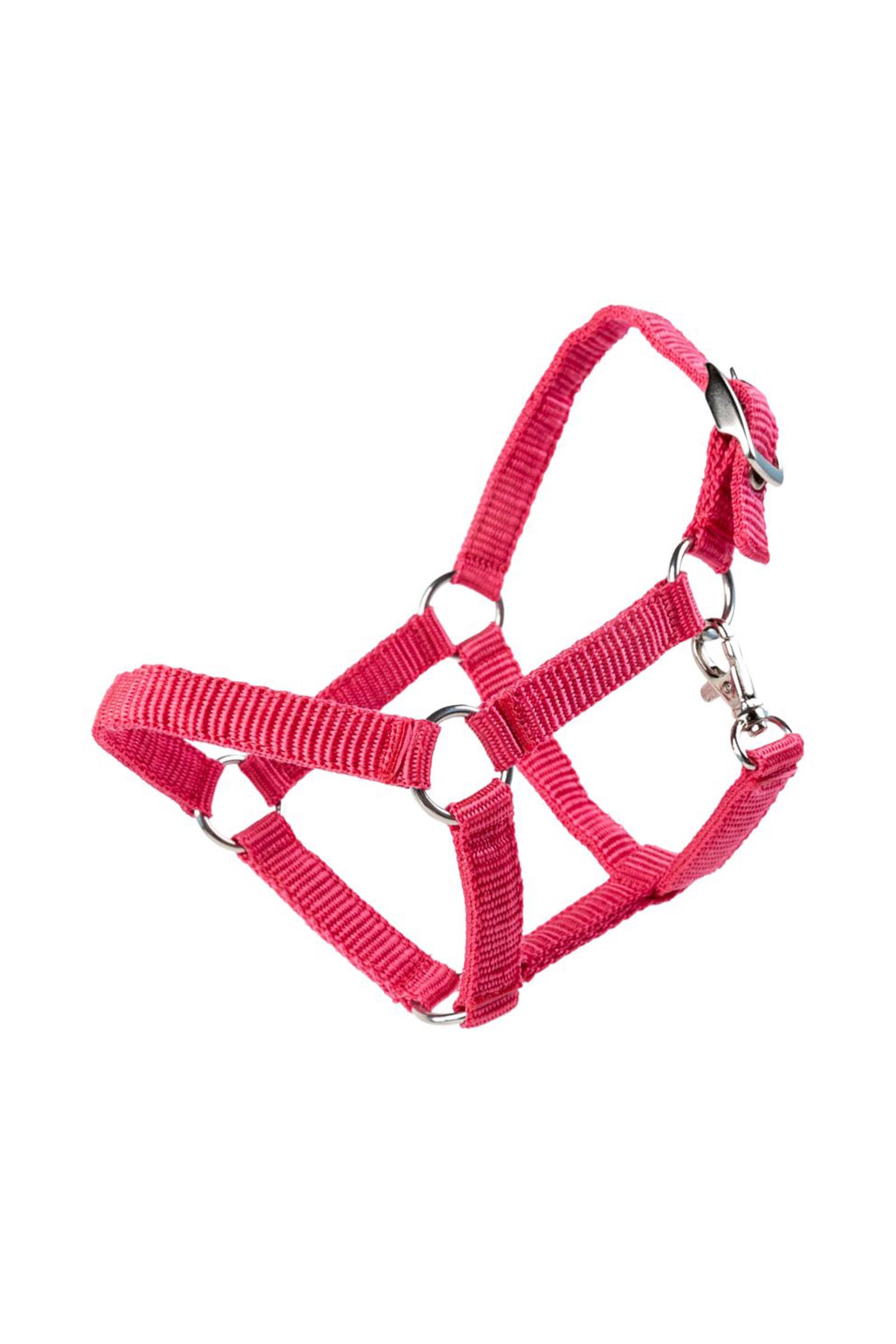 My Hobby Horse nylon halster