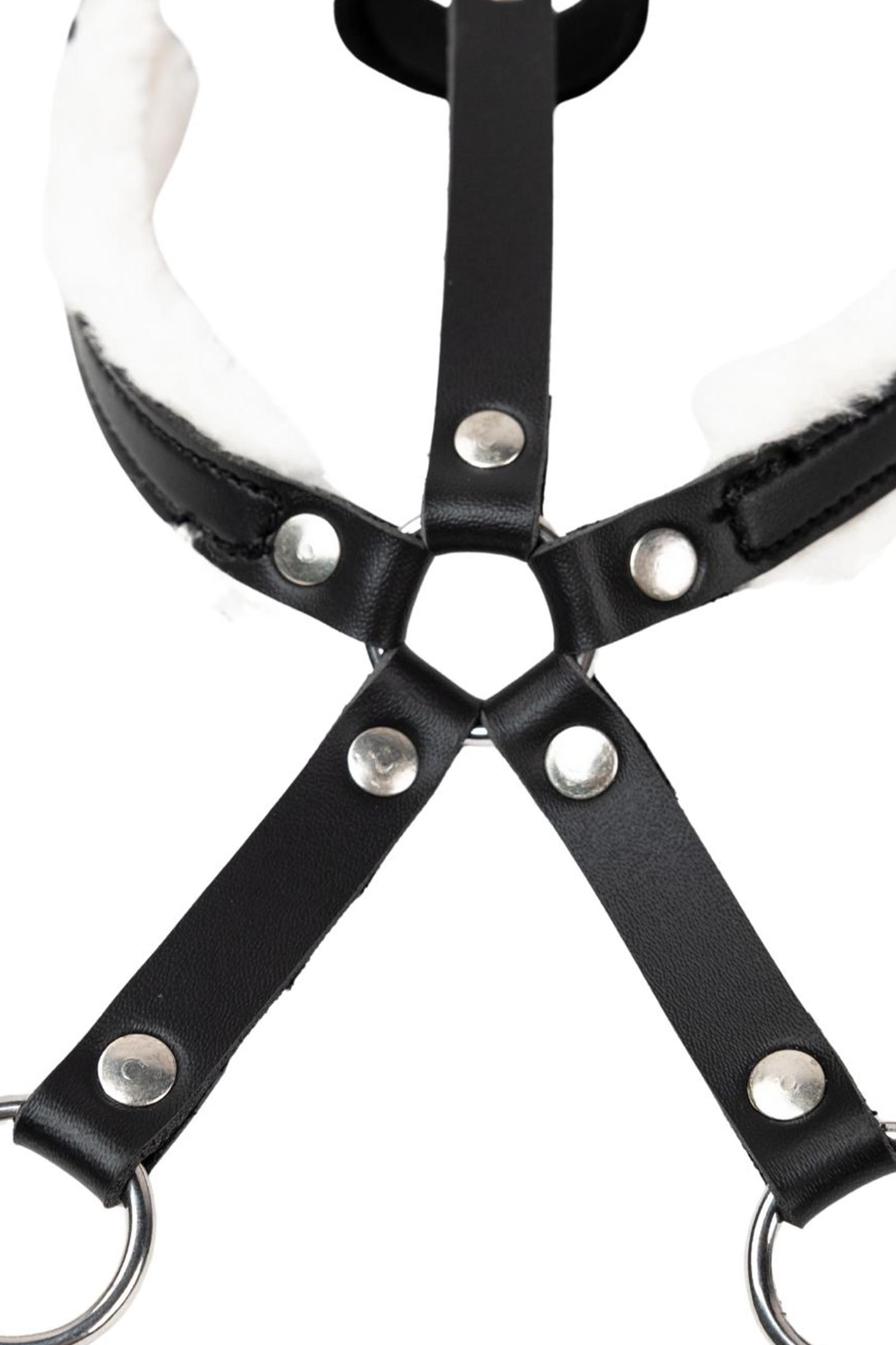 My Hobby Horse martingaal