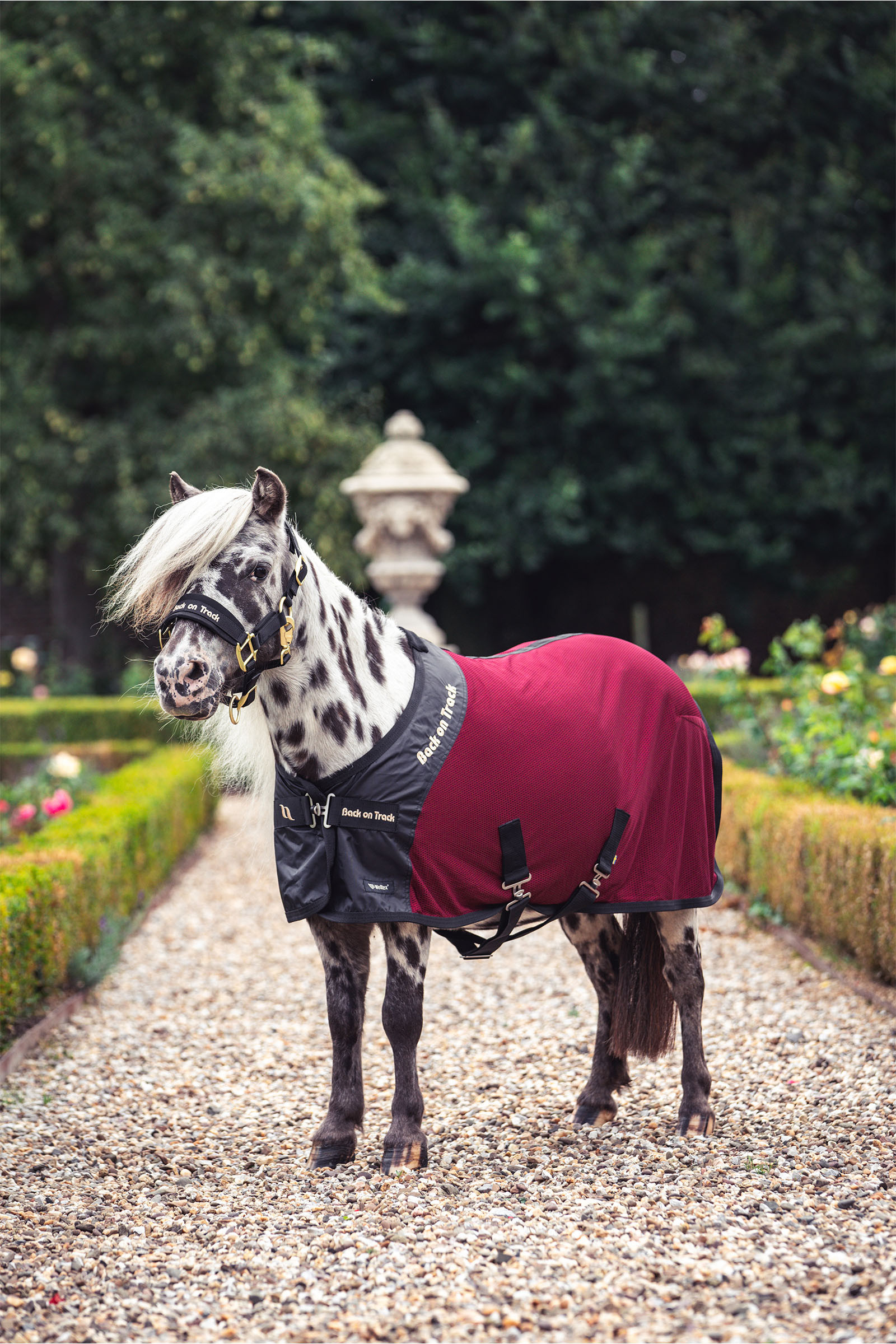 Back on Track Royal Pony Mesh Deken Deluxe