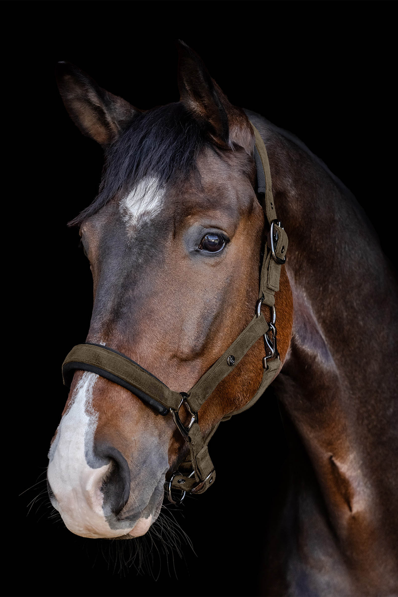 Waldhausen St. Gallen Halter 