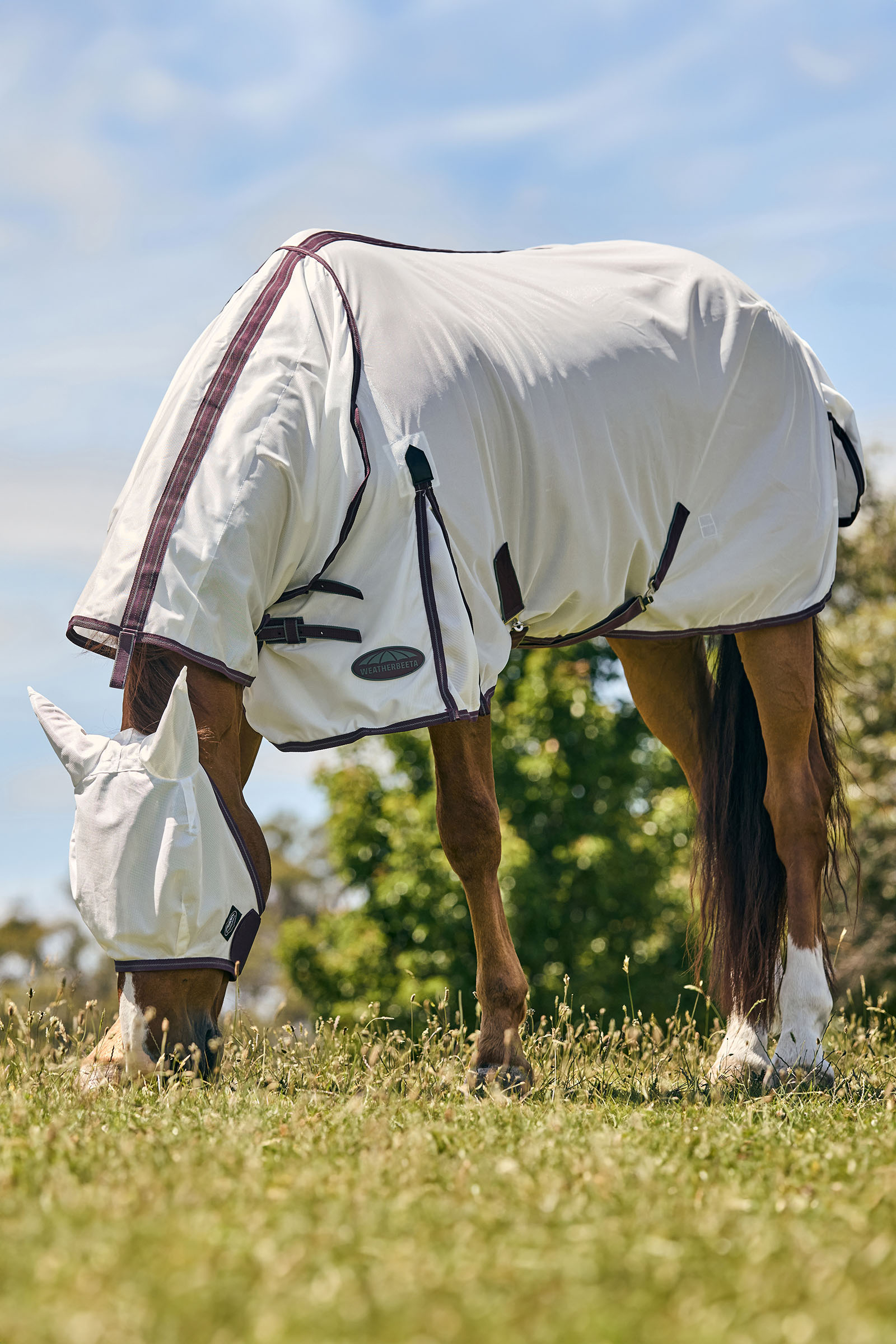 Weatherbeeta Comfitec Essential meshmasker