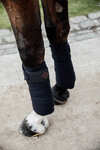Kentucky Horsewear Glitter Polar Fleece Bandages